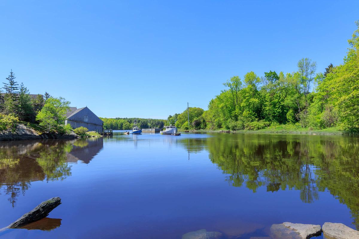 a small boat in a body of water surrounded by trees