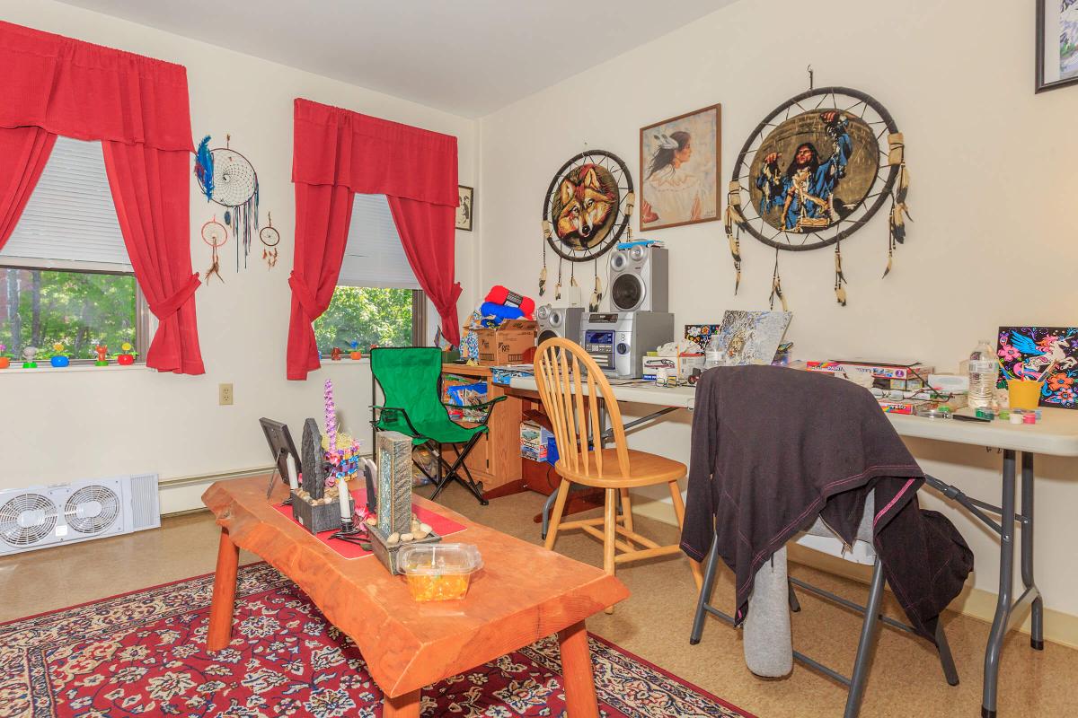 a living room filled with furniture and a rug