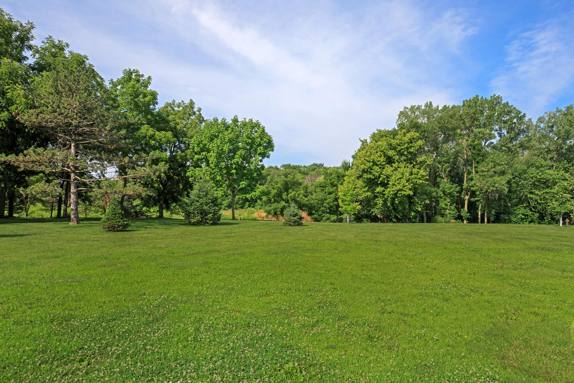 a large green field with trees in the background