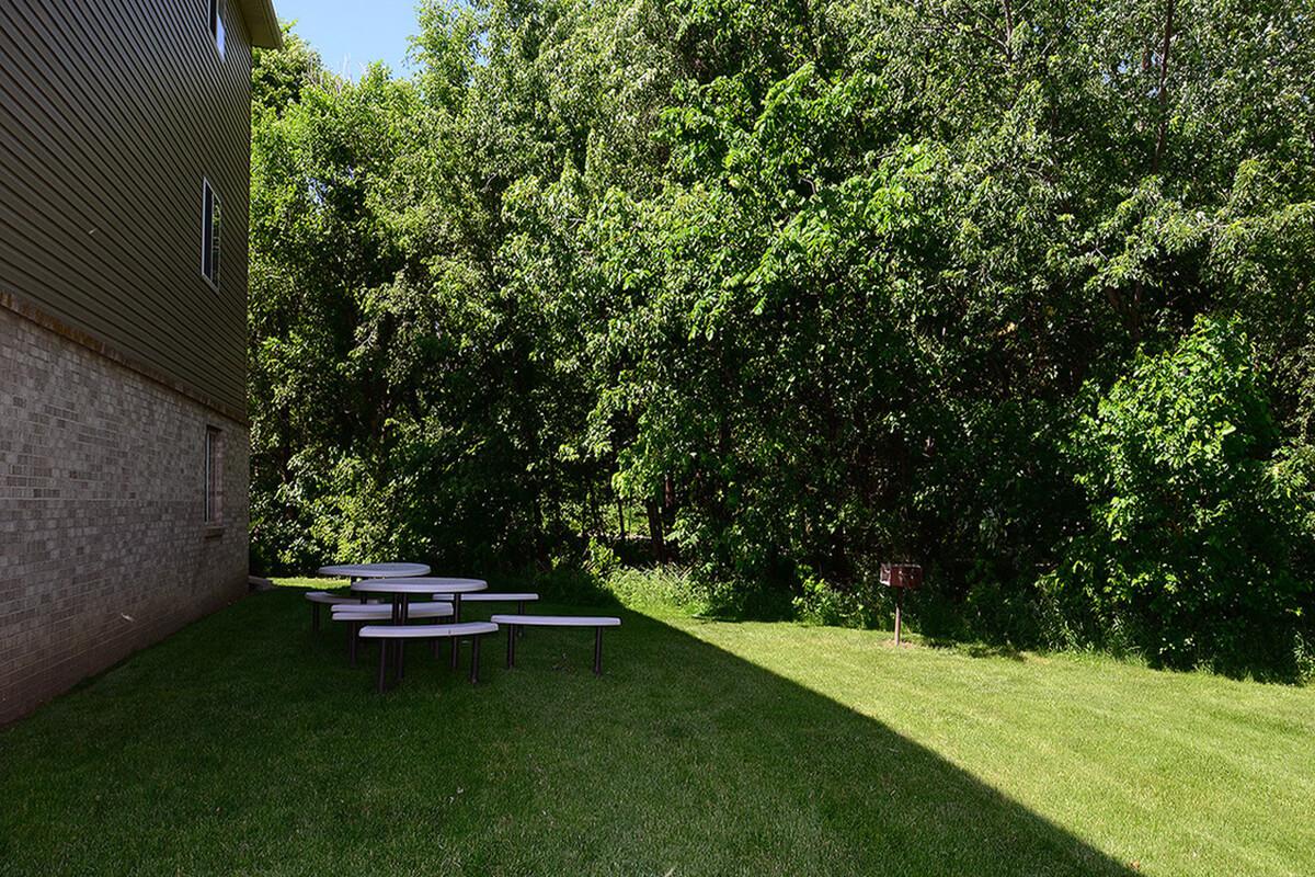 outdoor picnic.jpg
