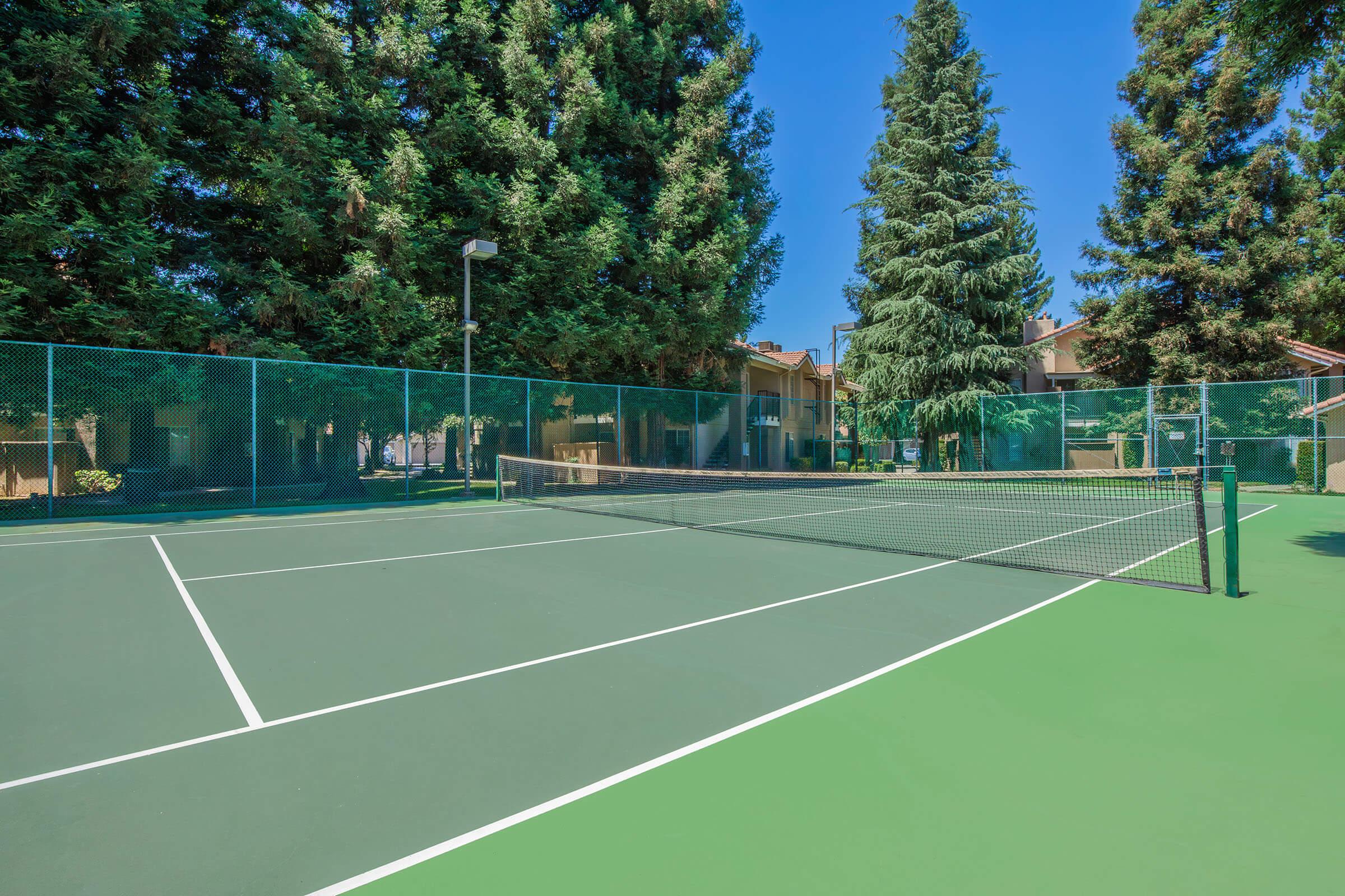 A well-maintained outdoor tennis court surrounded by tall trees and residential buildings. The court features a defined net in the center and clear blue skies overhead, creating a vibrant and inviting atmosphere for tennis play.