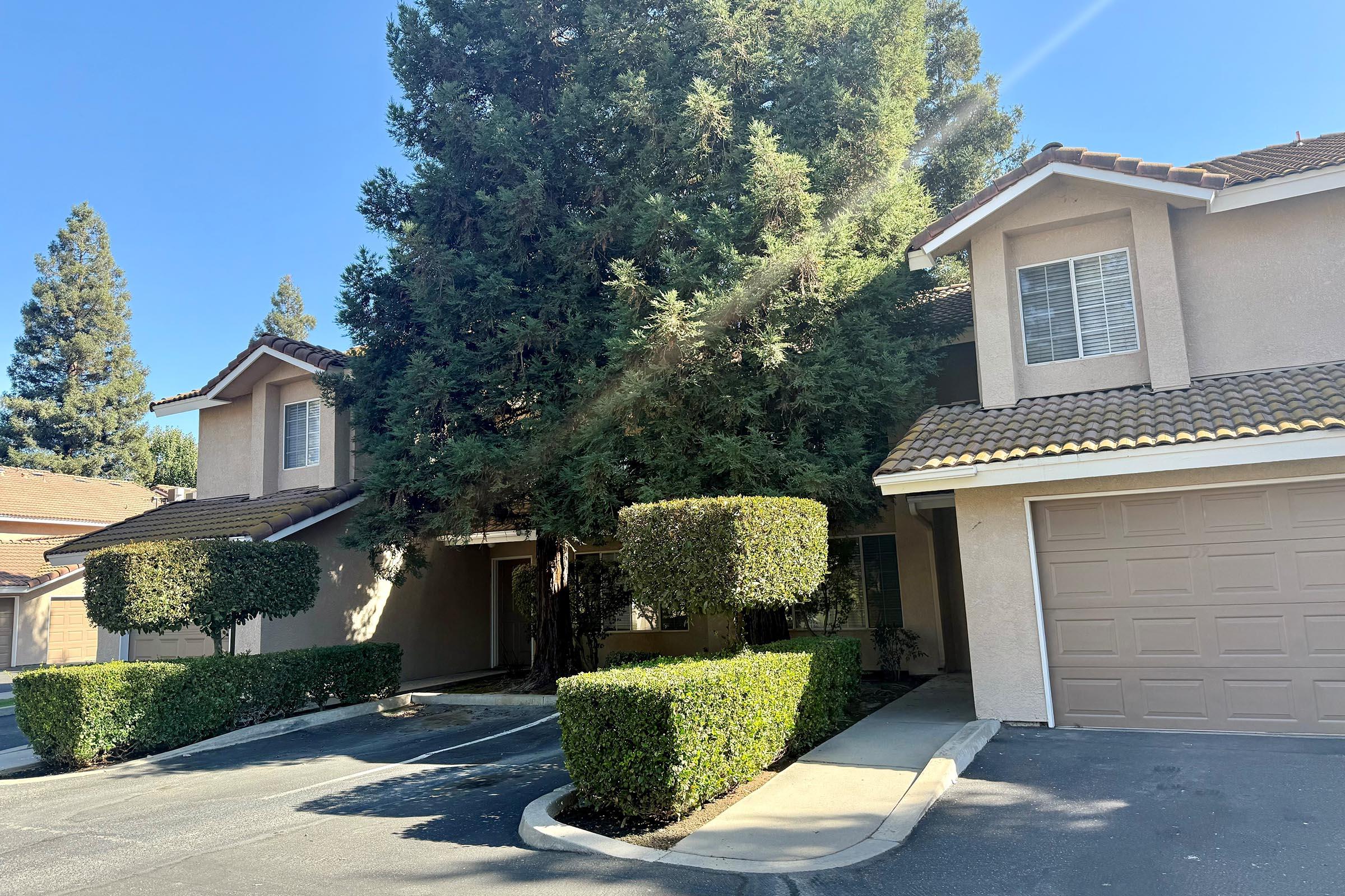 a house with bushes in front of a building