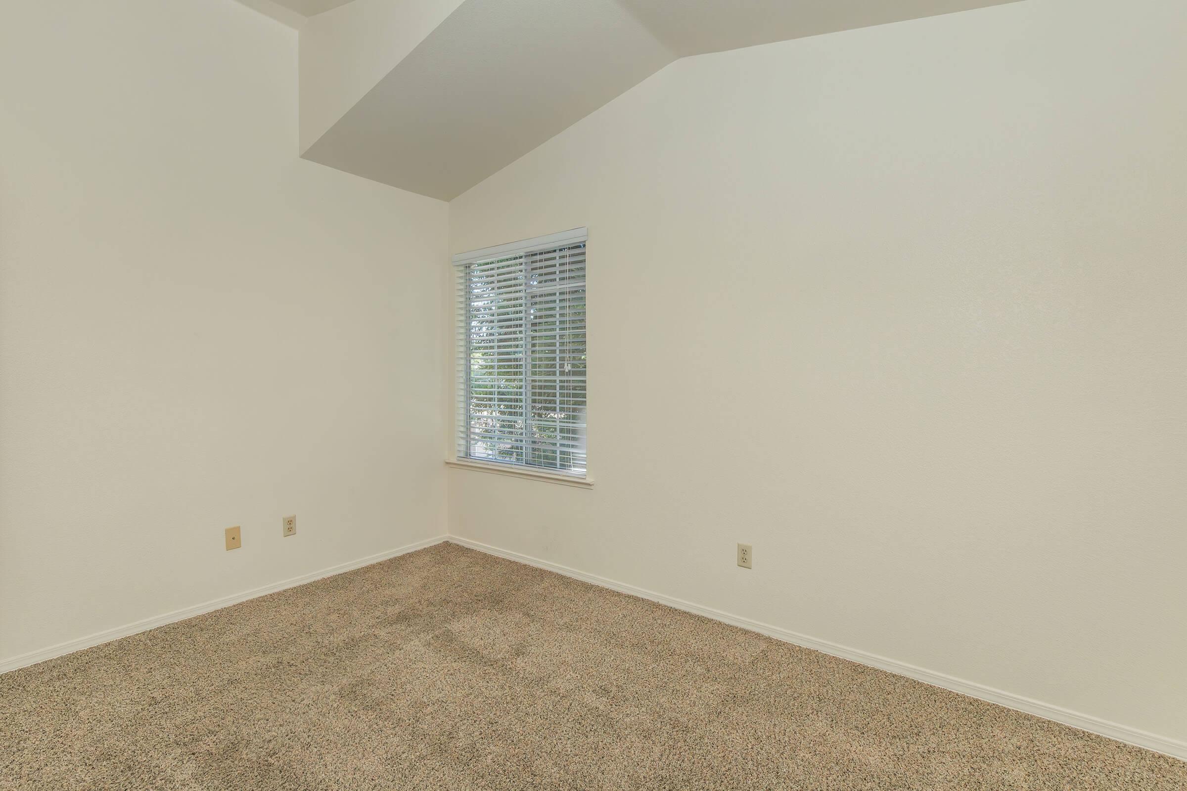 Empty room with light beige carpet and white walls. A window with blinds is situated on the left side, allowing natural light to enter. There are no furnishings or decorations, creating a spacious and minimalist feel.