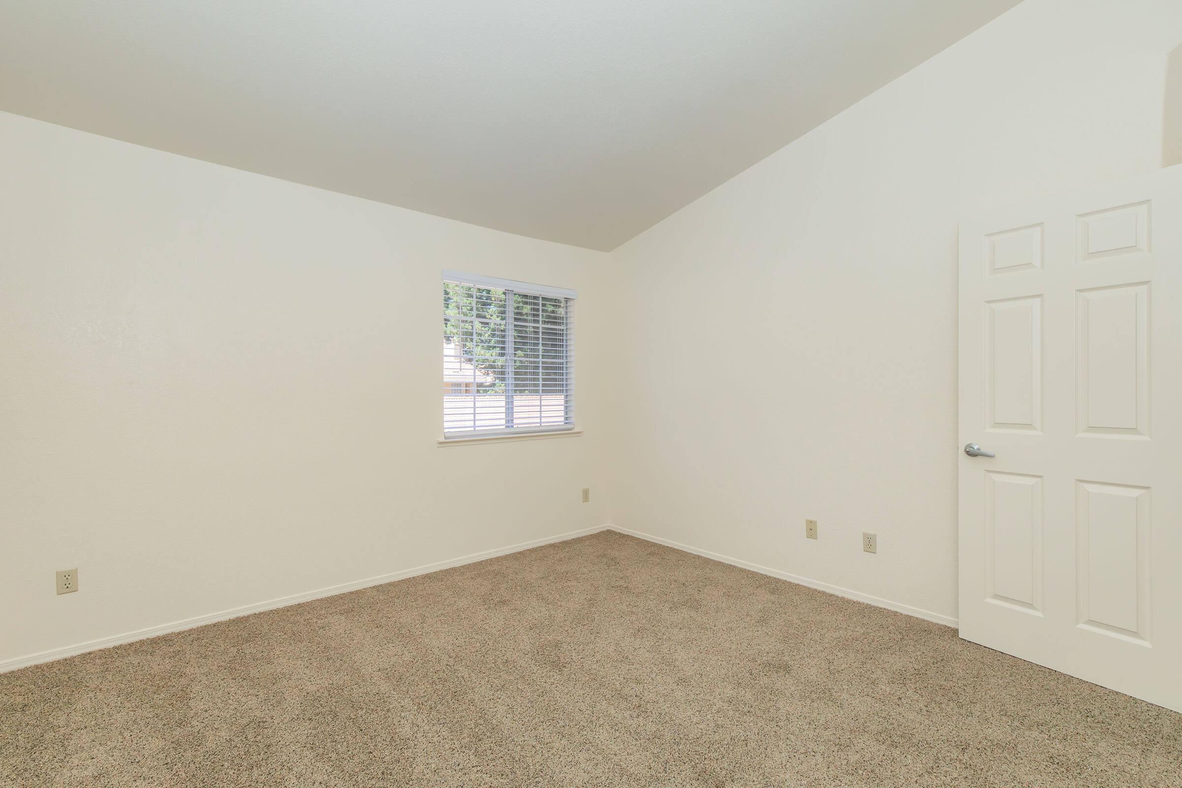 Empty room with light-colored walls, a window with blinds allowing natural light, and a door. The carpet is a neutral color, and there are no furnishings or decorations visible, creating a spacious and minimalistic ambiance.