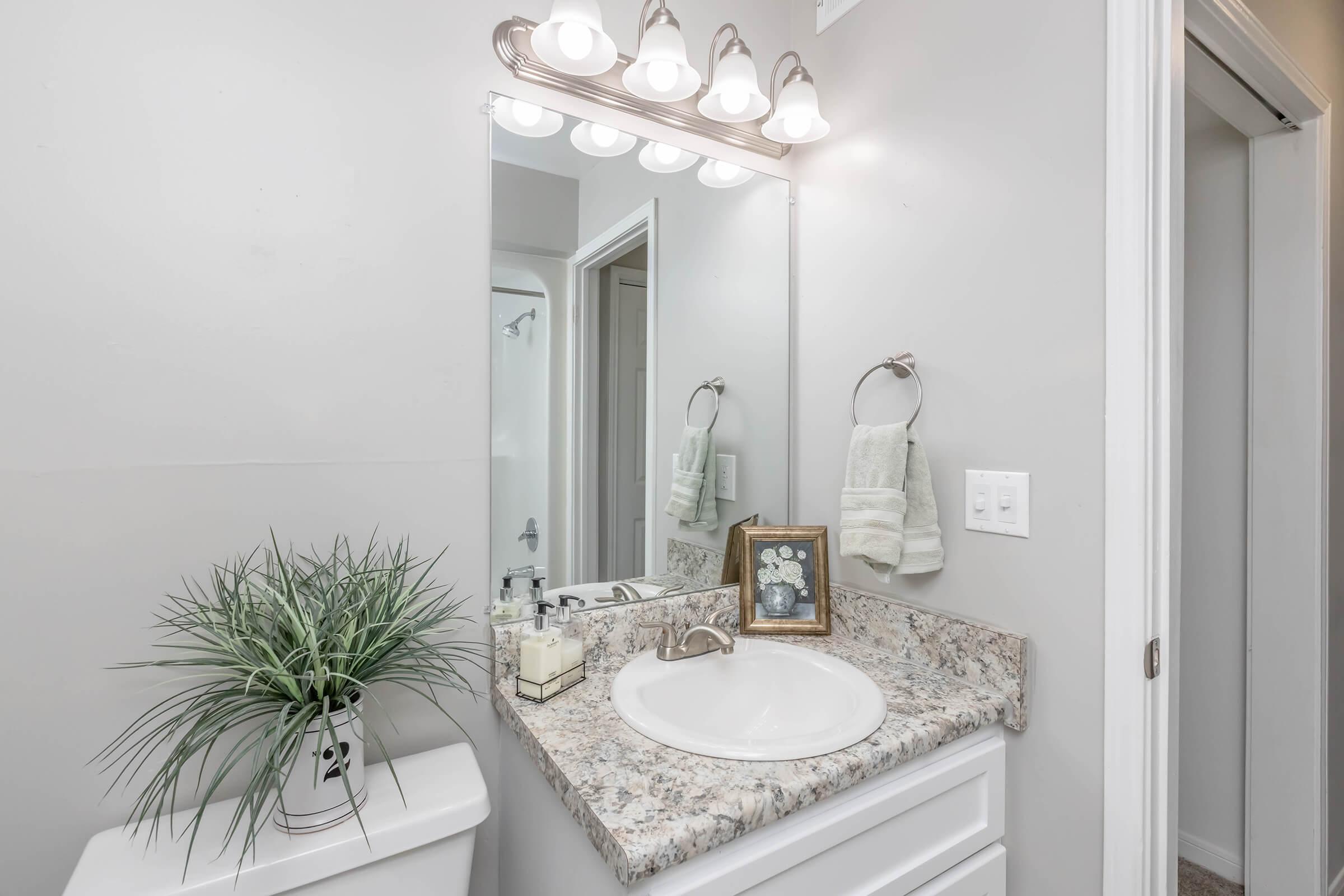Modern bathroom featuring a granite countertop with a white sink, a large mirror above, and stylish lighting. A small plant adds a touch of greenery, while a decorative framed photo and toiletries are neatly arranged. Soft towels hang on a towel rack, contributing to the clean, inviting aesthetic.