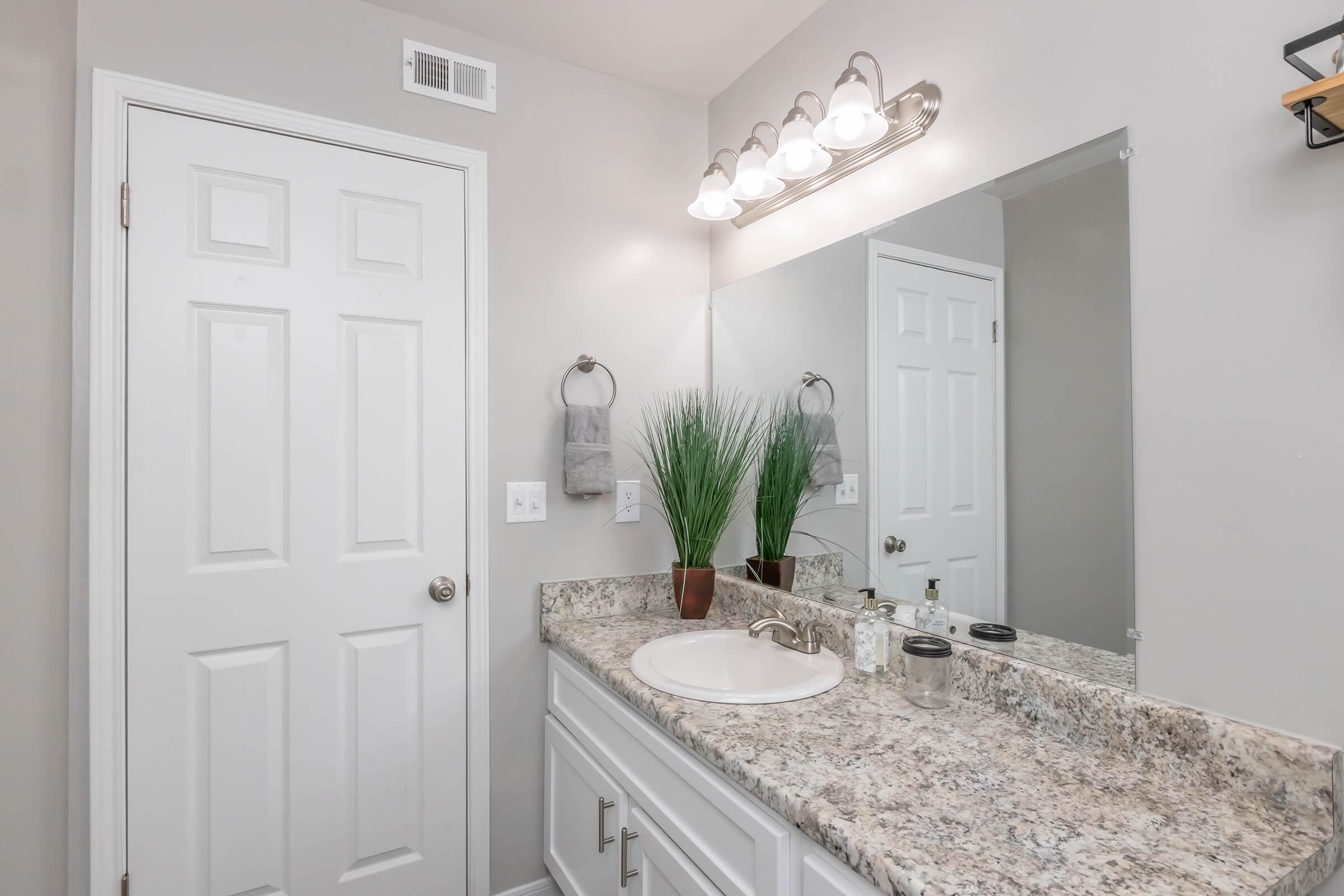 A modern bathroom featuring a granite countertop with a sink, a large mirror, and a light fixture with multiple bulbs. The walls are painted a light color, and there are two towels hung on a rack. A decorative plant adds a touch of greenery to the space. The door is white and partially visible.