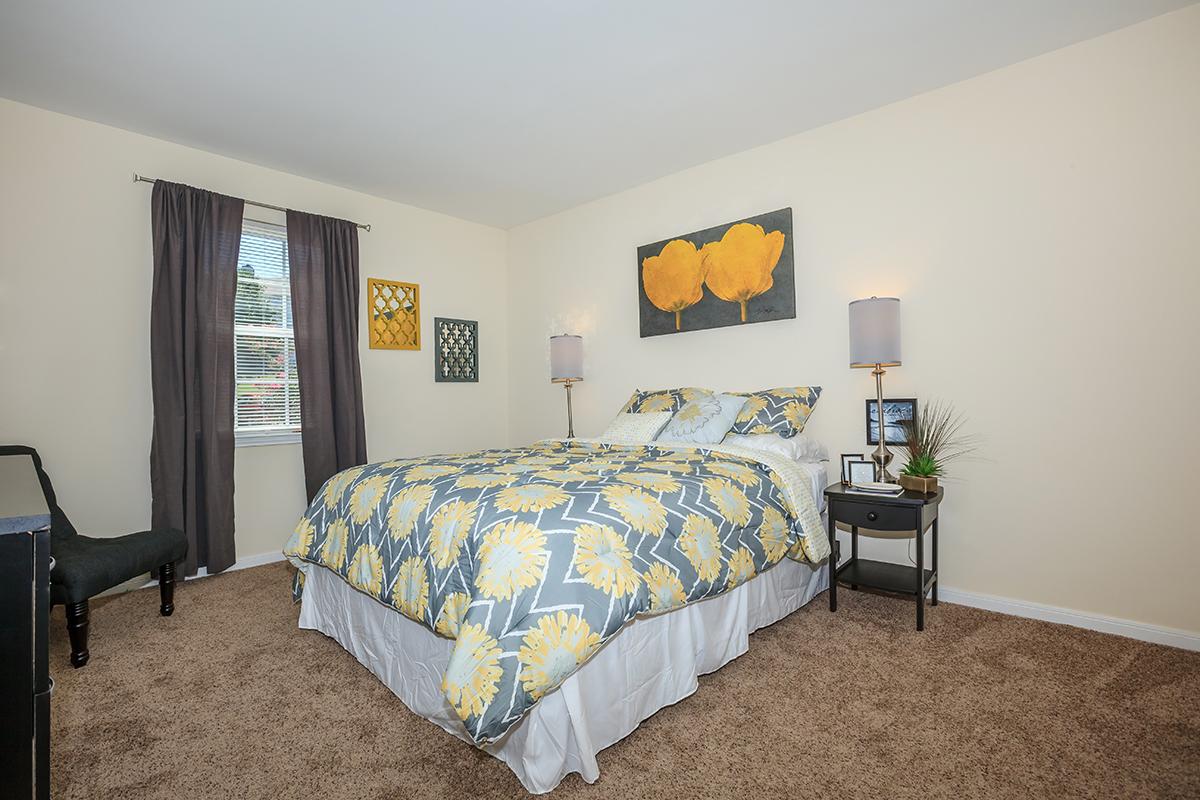 Carpeted Floors