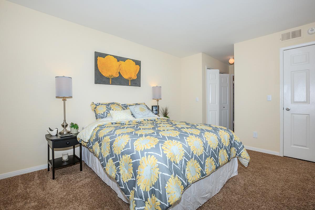 Large Bedroom