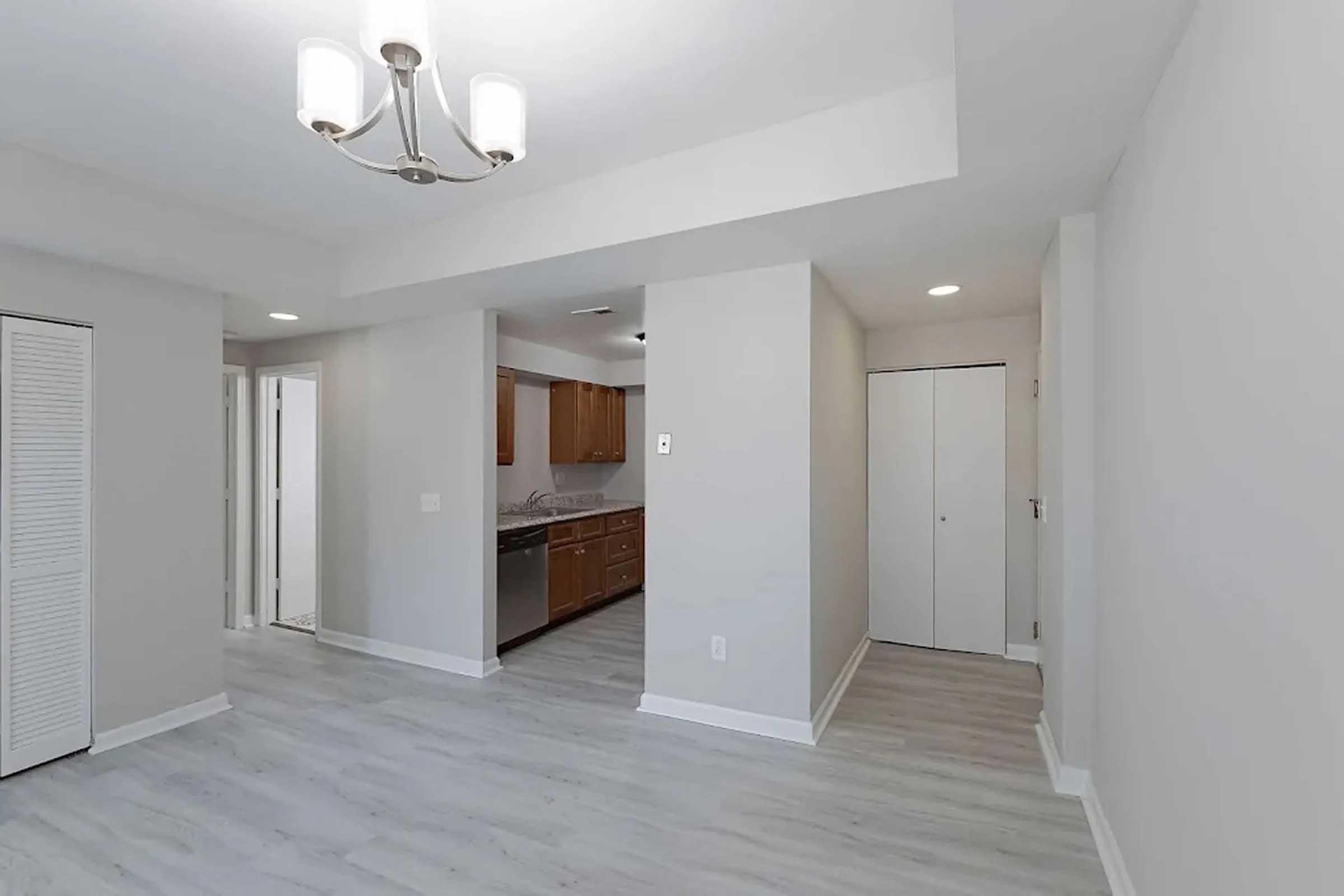 A spacious, modern interior of a room with light grey walls and laminate flooring. The room features a ceiling light fixture, an adjacent kitchen area with wooden cabinets, and a closed closet door. The layout is open, showcasing a bright and airy atmosphere.