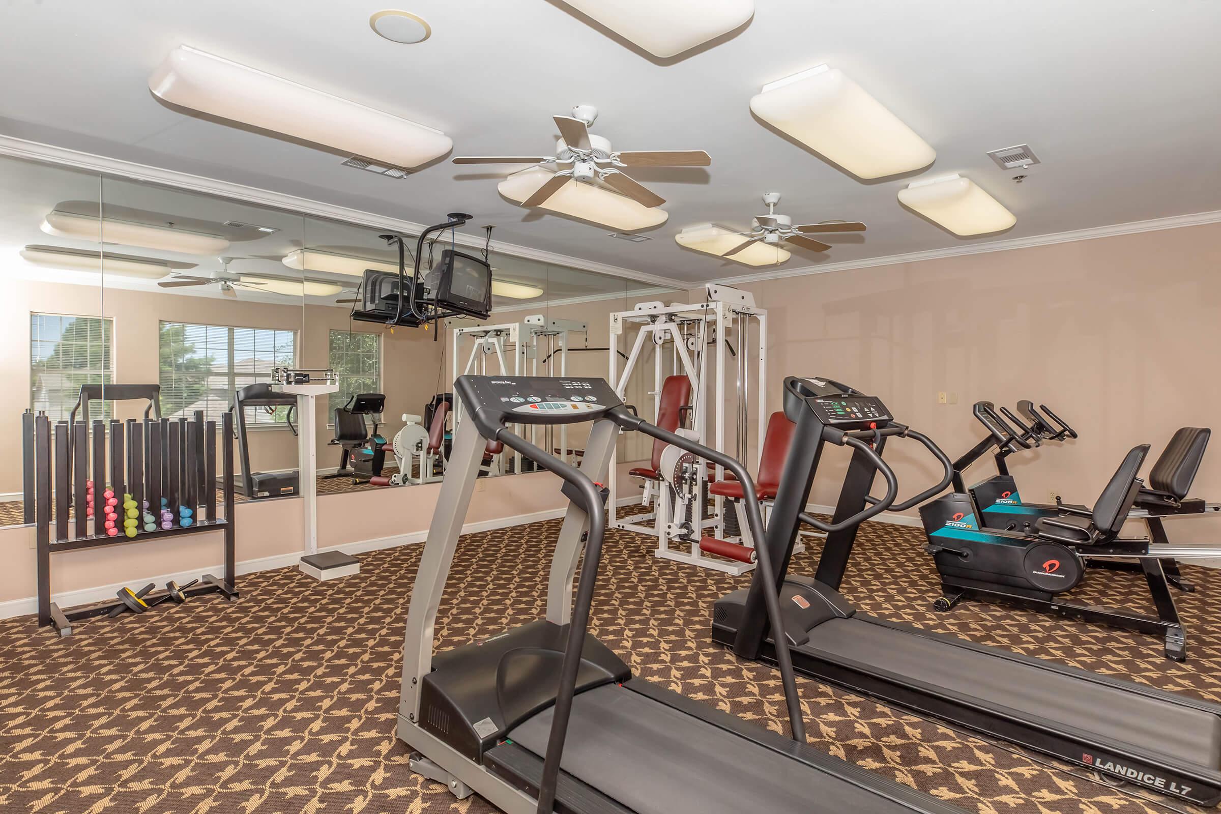 A fitness room featuring two treadmills, an elliptical machine, and a multi-gym setup. The space is well-lit with ceiling fans and includes a mirrored wall. Various weights are neatly arranged on a rack, creating a clean and organized workout environment.
