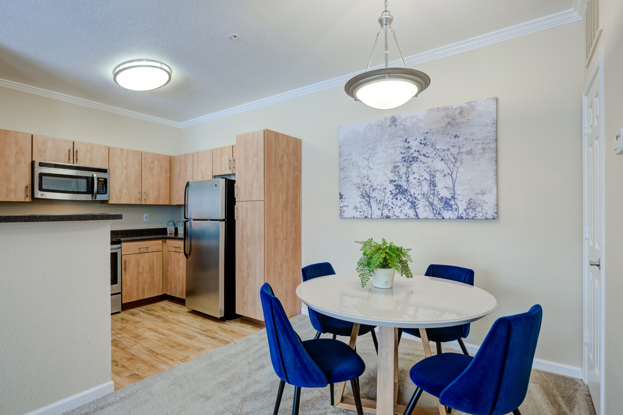 Apartment Features