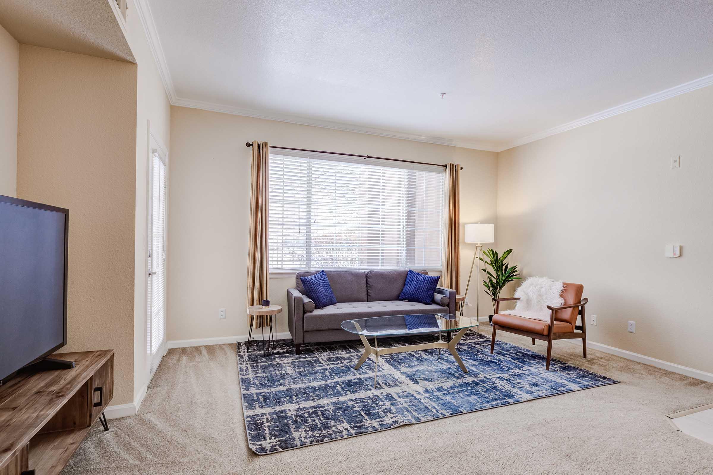 A cozy living room featuring a gray sofa, a tan armchair, and a glass coffee table on a blue area rug. The space has large windows with natural light, beige walls, and a decorative plant. A television is positioned on a wooden stand against the wall.