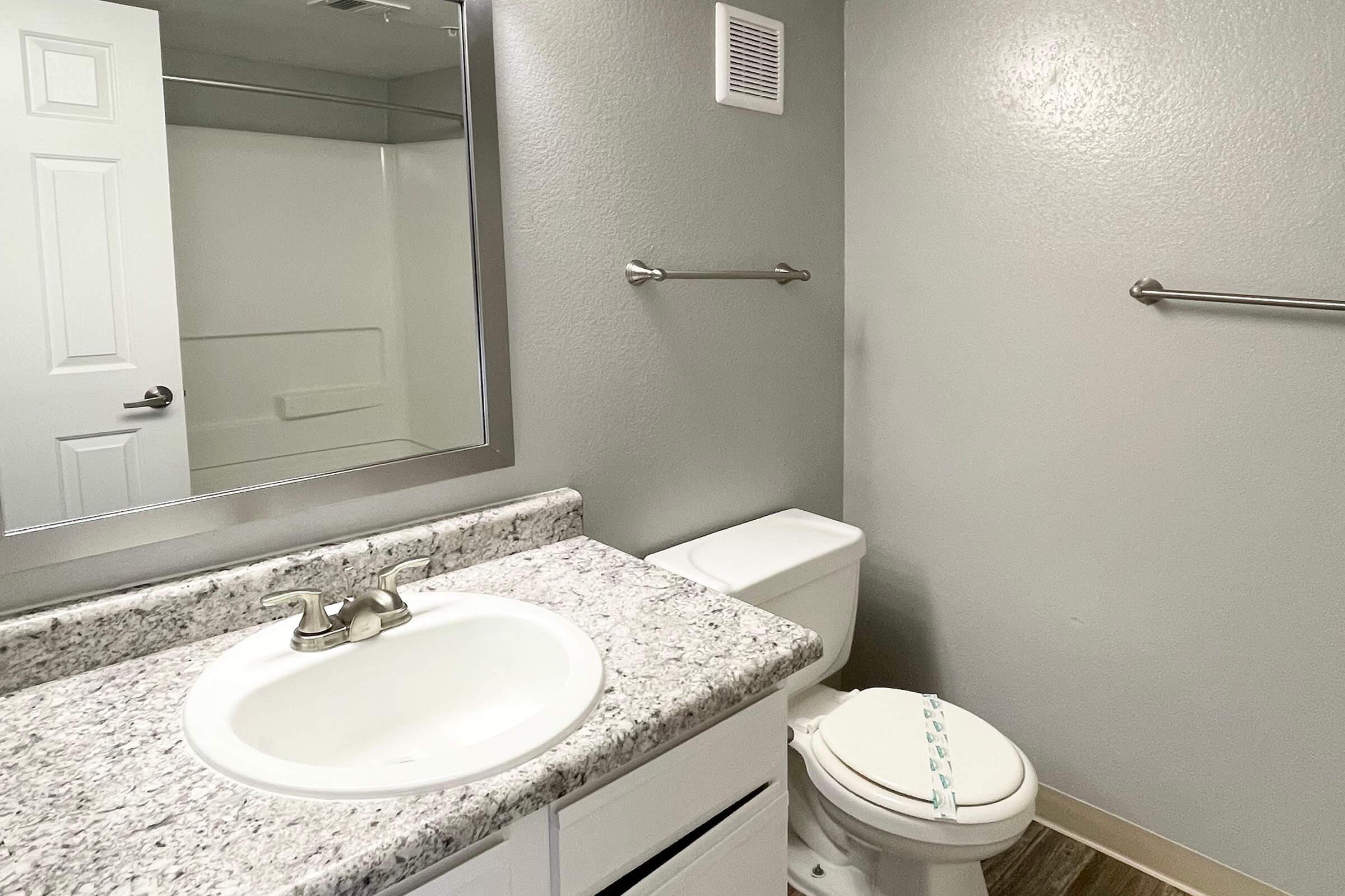 a sink and a mirror