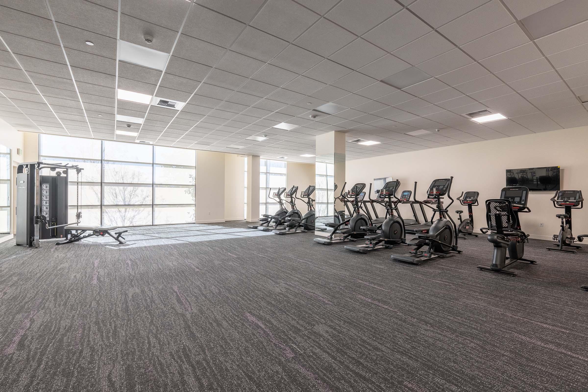 A spacious gym interior featuring various cardio equipment, including treadmills and ellipticals, arranged neatly. Large windows provide natural light, and there is a strength training bench in the foreground. The walls are painted neutrally, creating a bright and inviting workout environment.