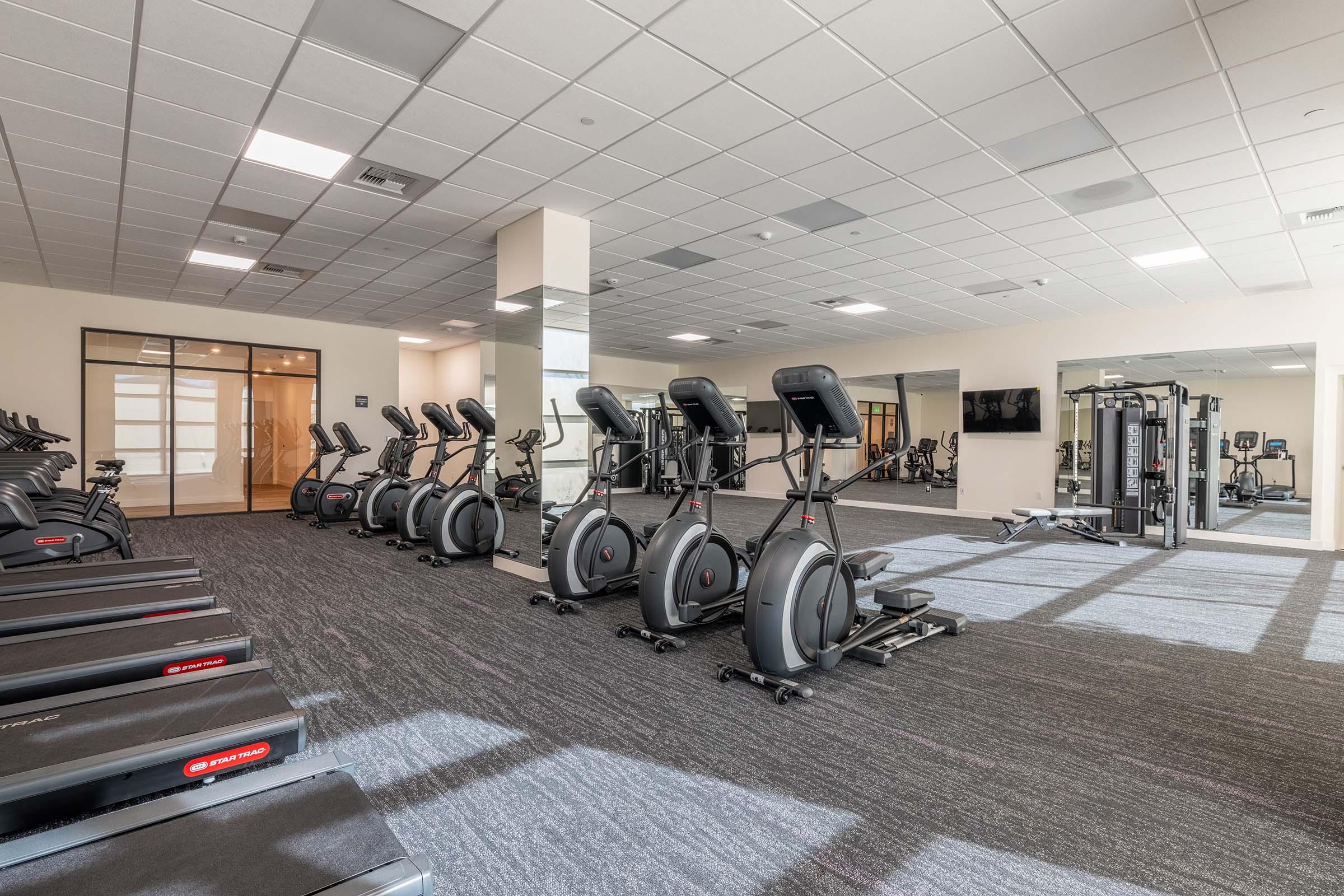 A modern gym interior featuring several elliptical machines and treadmills arranged neatly. The space is well-lit with large windows allowing natural light, and mirrors on the walls enhance the open feel. Equipment is clean and appears well-maintained, creating an inviting atmosphere for exercise.