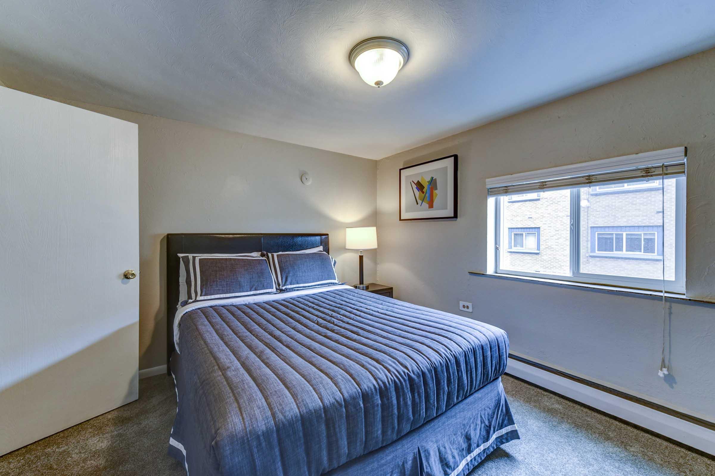 A cozy bedroom featuring a large bed with a blue striped blanket, a bedside lamp, and a framed artwork on the wall. 