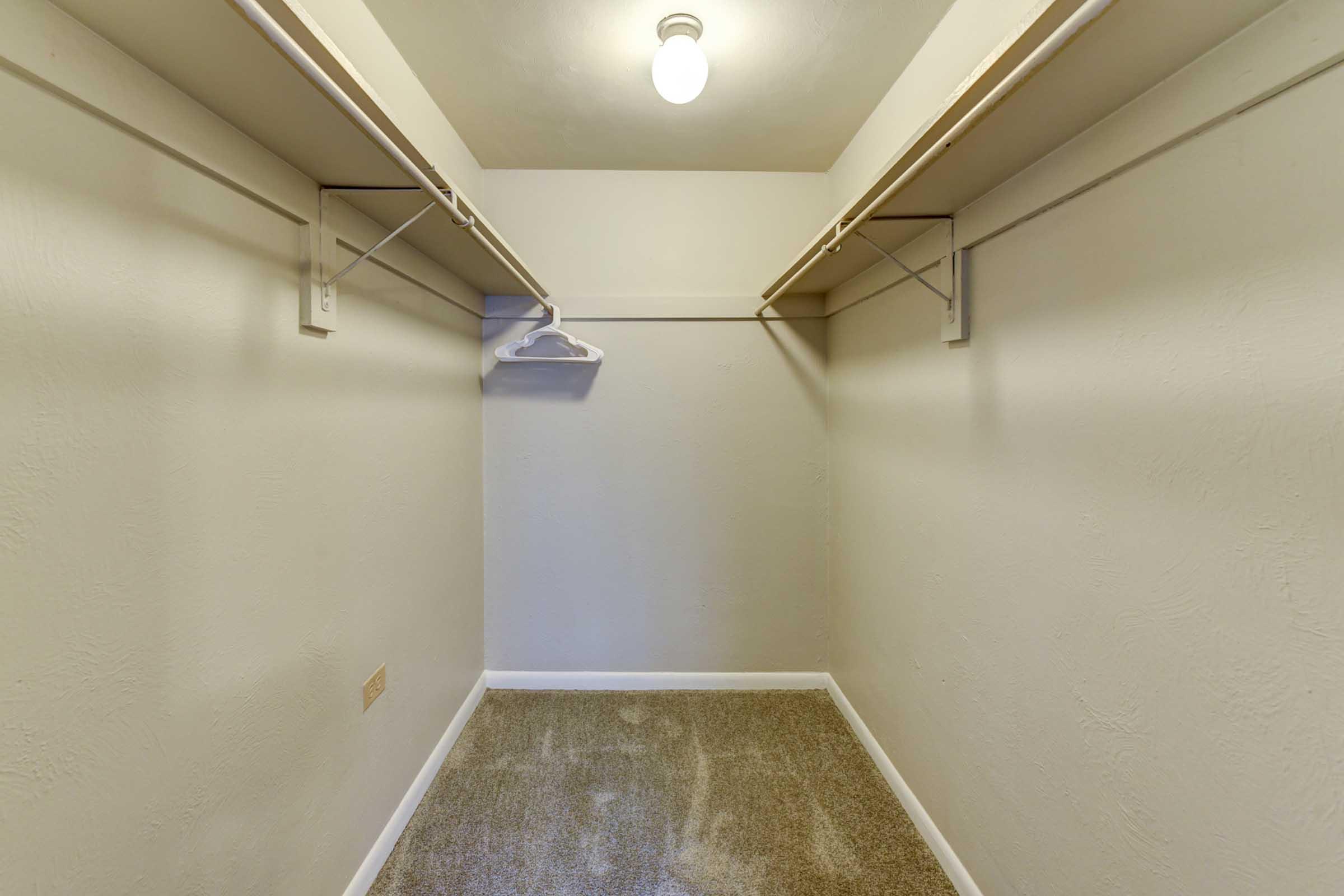 Empty closet space with beige walls, a light fixture on the ceiling, and carpeted flooring. 