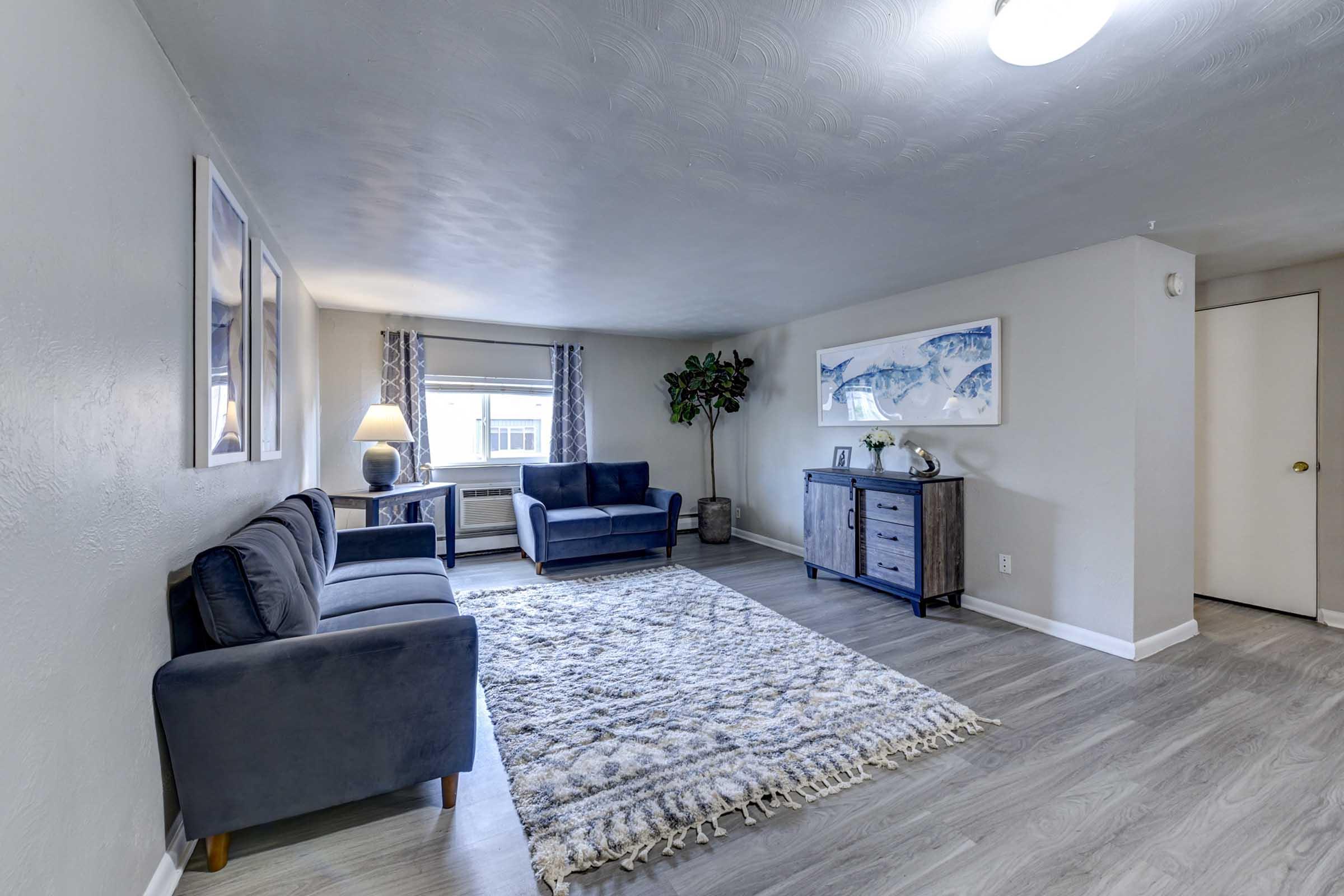 Cozy living room featuring a light gray wall, two blue sofas, and a large area rug. 