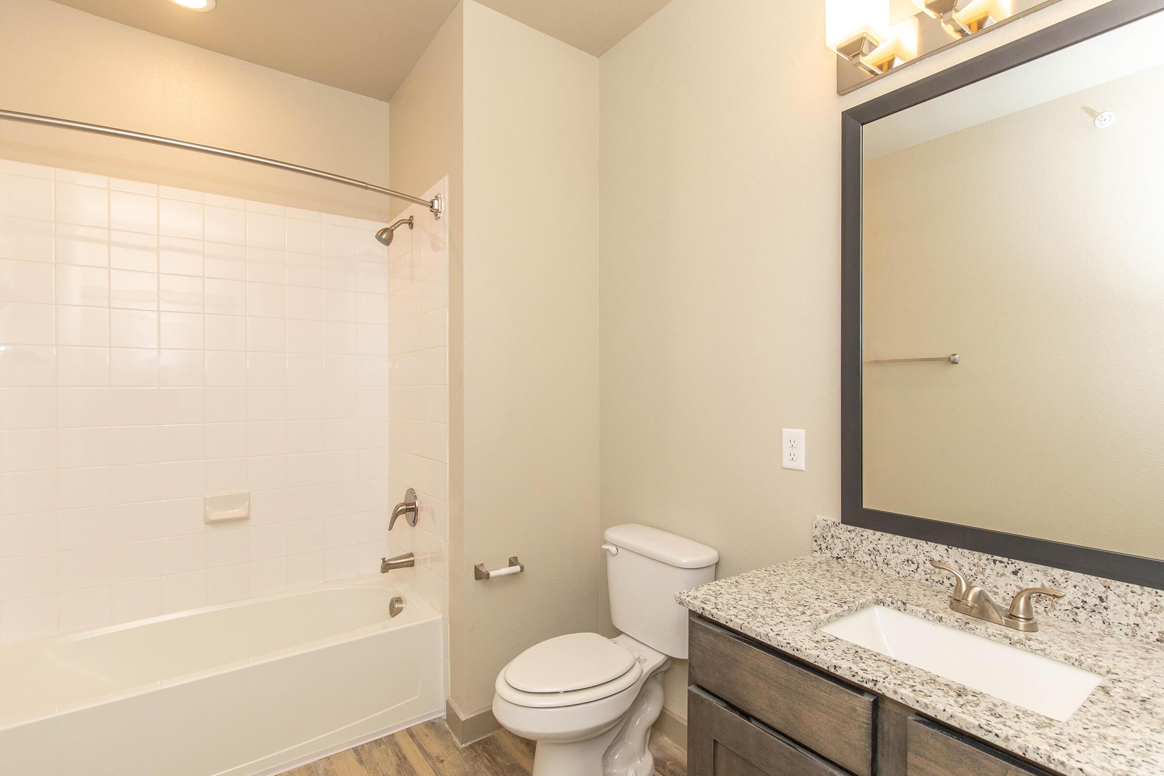 a shower that has a sink and a mirror