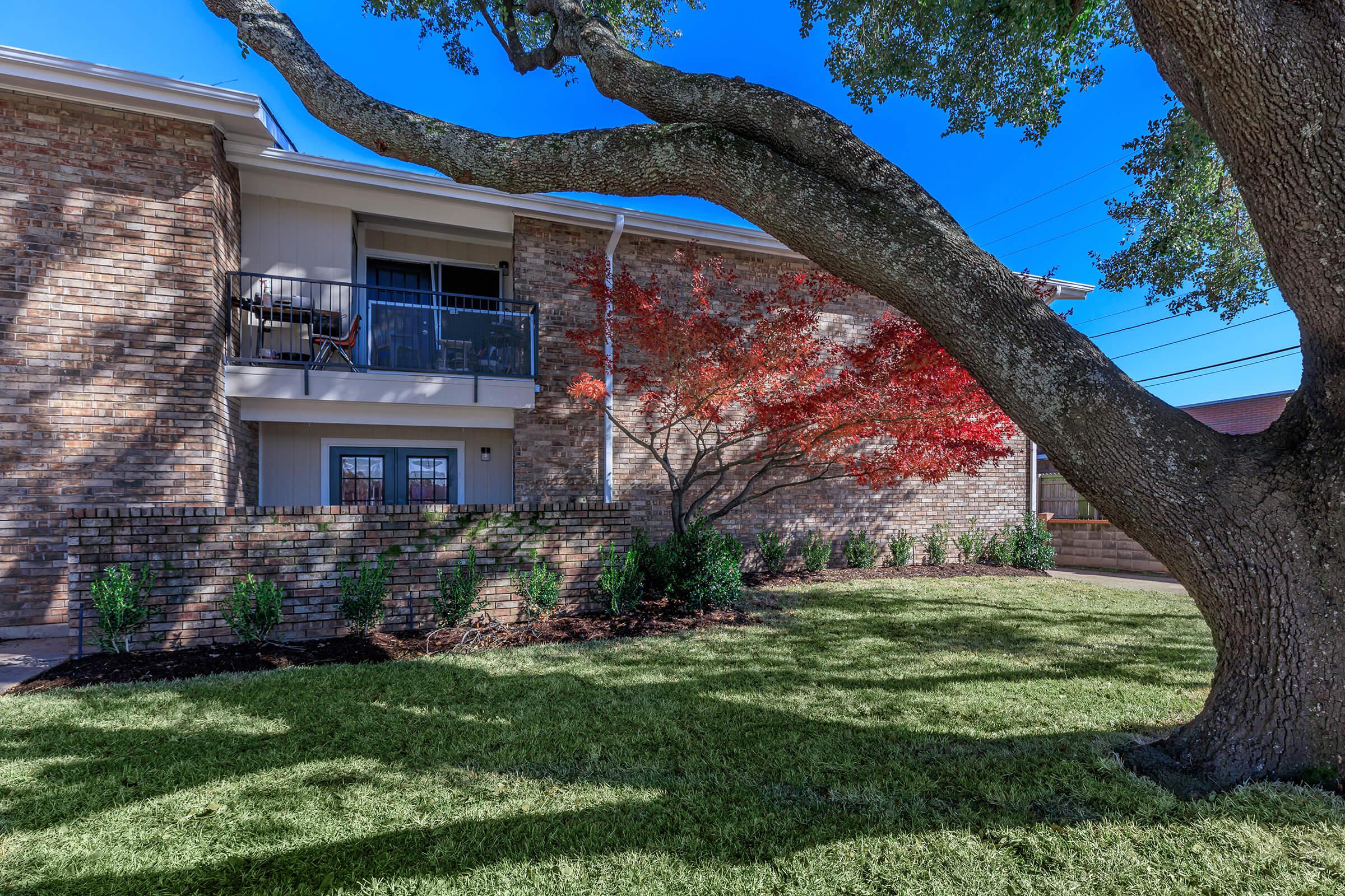 a tree in front of a building