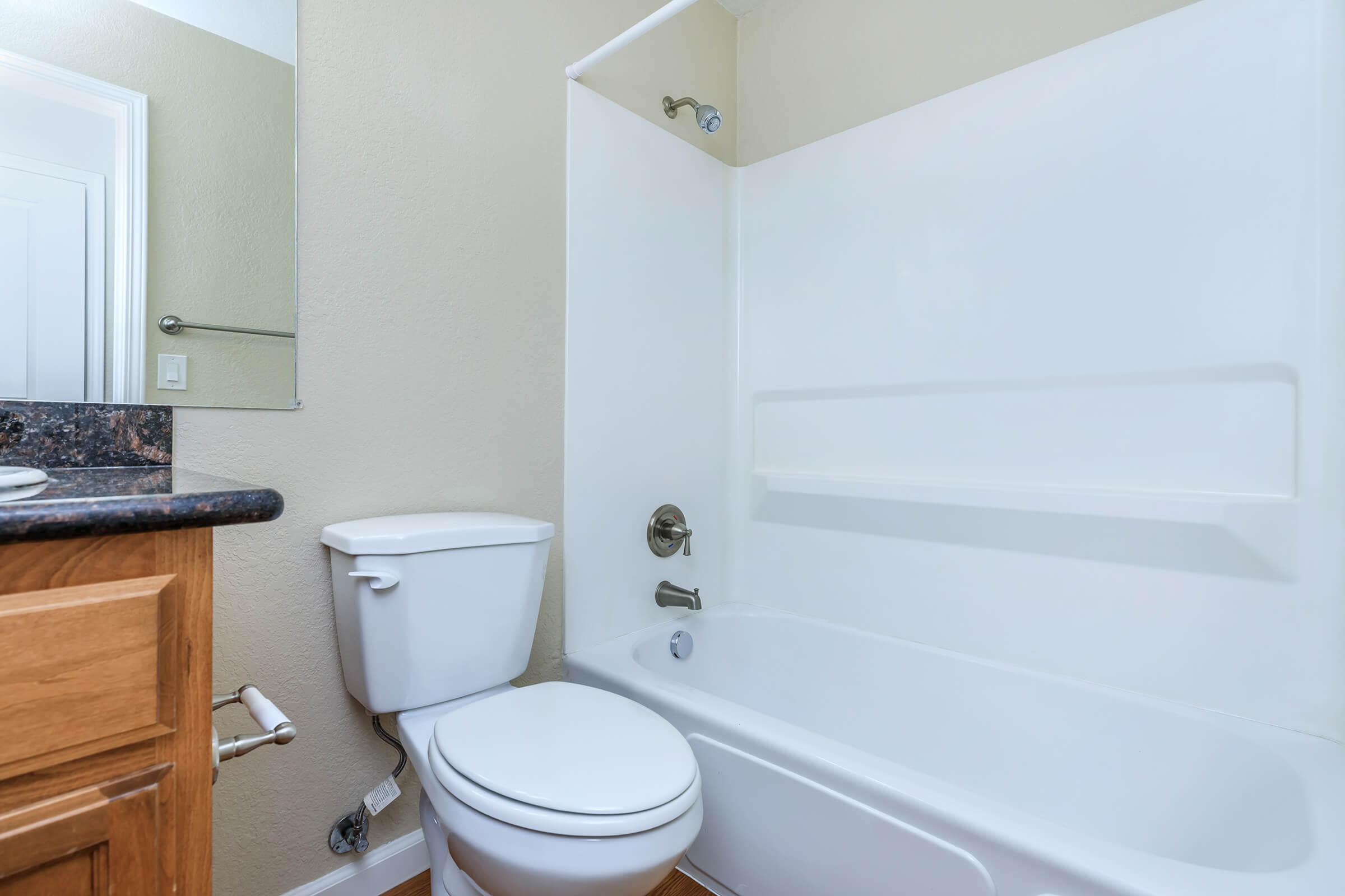 PRISTINE TUB SHOWER COMBINATION