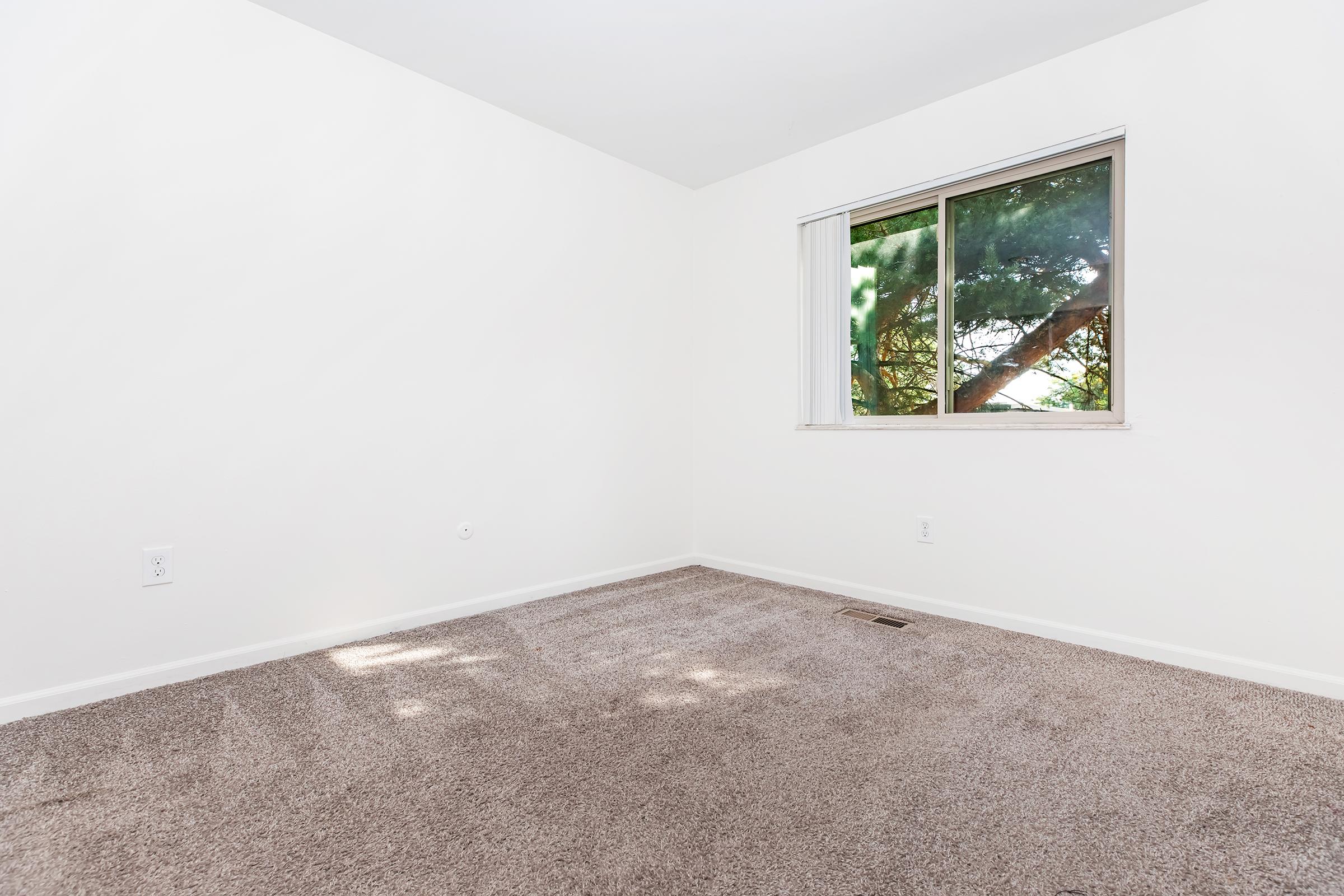 Empty room with neutral-colored walls and light beige carpet. A single window is visible, allowing natural light and displaying greenery outside. The space is clean and uncluttered, suitable for various uses such as a bedroom, office, or guest room.