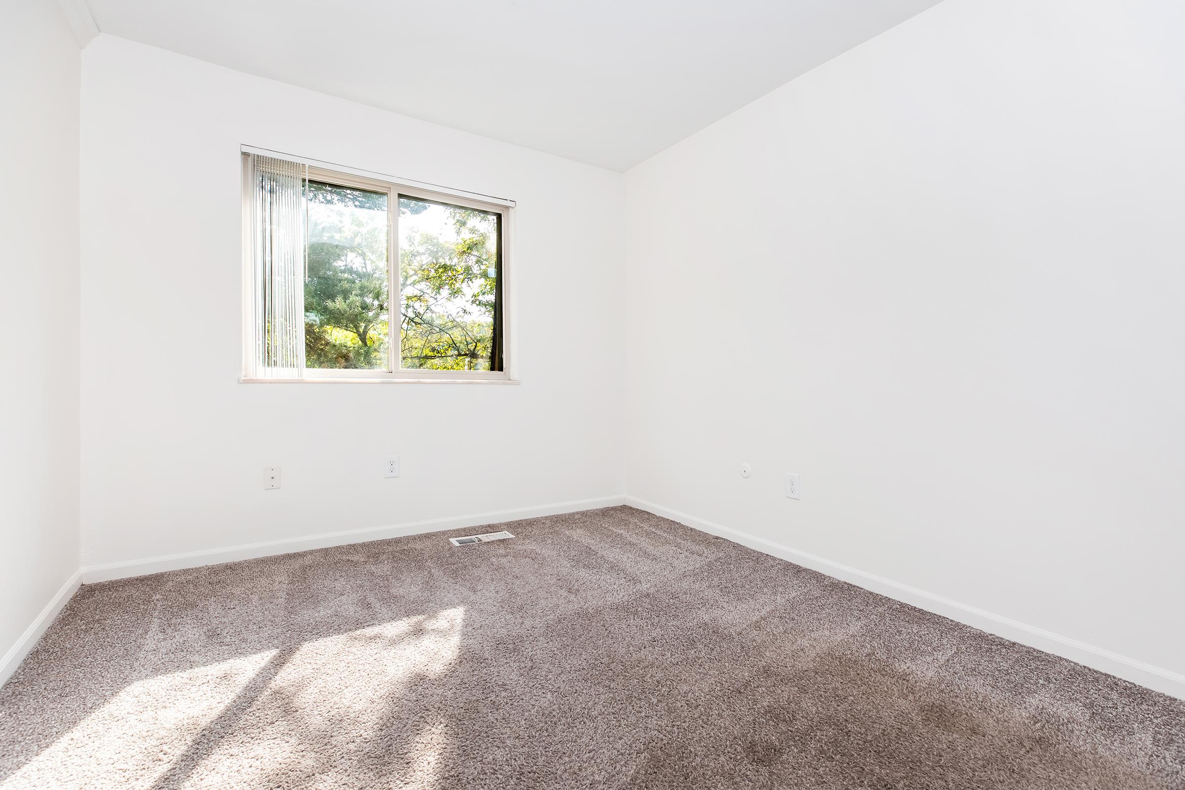 Empty room with light-colored walls and soft, beige carpet. A window with a view of greenery lets in natural light, illuminating the space. The room has no furniture, creating a clean and minimalistic appearance.