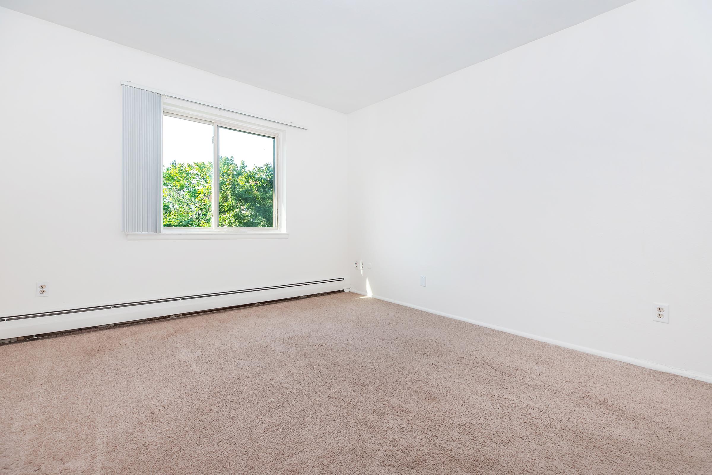 A bright, empty room with light beige carpet and white walls. There is a single window with a light blue curtain allowing natural light to fill the space. The floor is clear of furniture, creating a spacious and minimalist atmosphere.