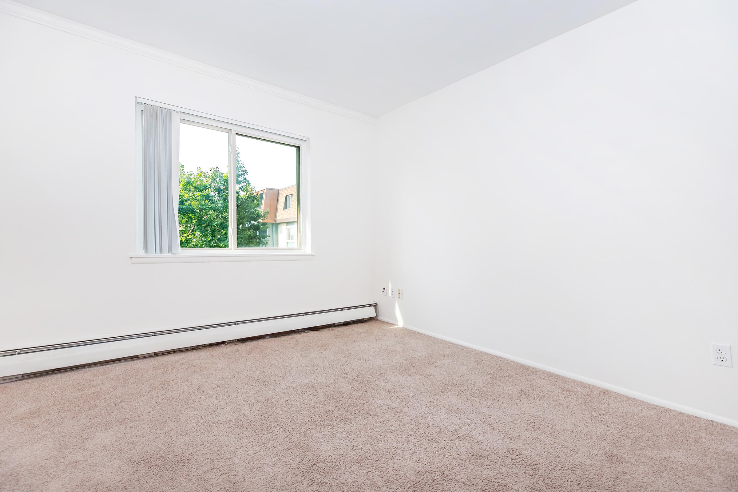 Empty room with light beige carpet and white walls. A window is on the left, allowing natural light to enter. Outside the window, there are trees and a glimpse of a house. The room is unfurnished and bright, creating a spacious feel.