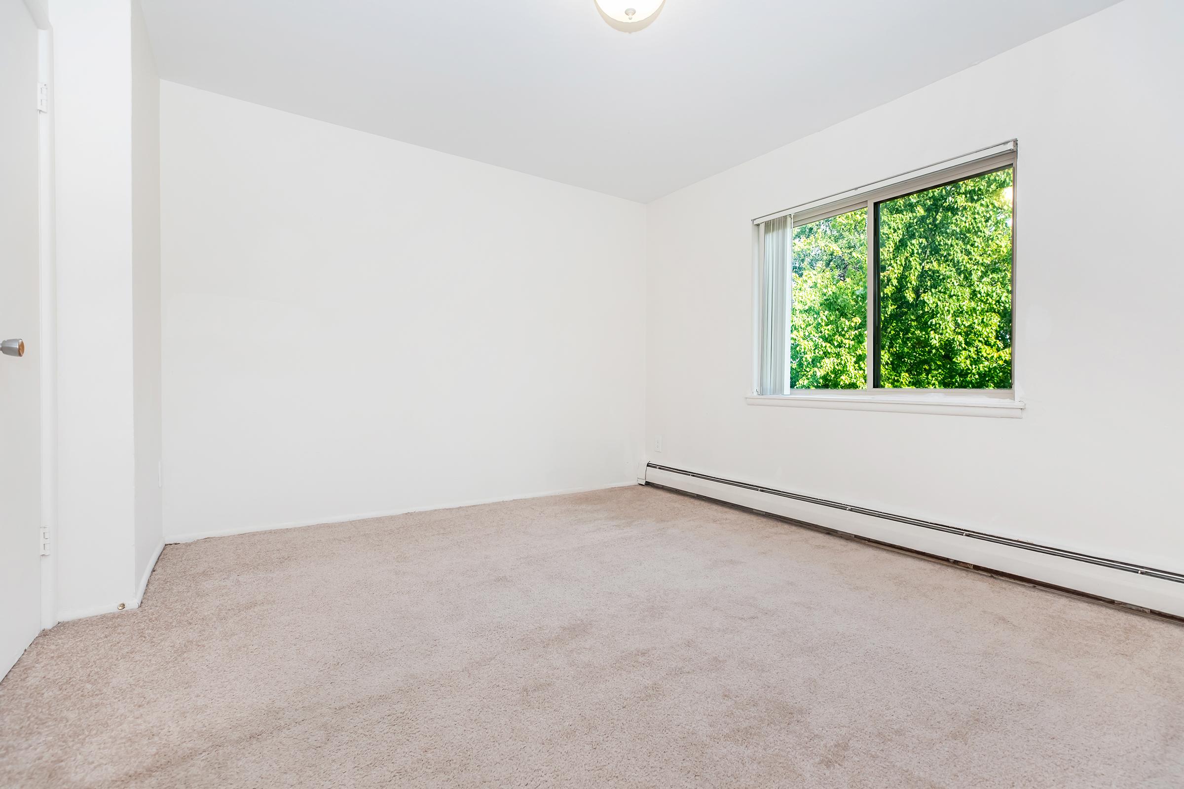 Empty room with light-colored carpet and white walls. A large window allows natural light, showing greenery outside. The room has no furniture or decorations, creating a clean and spacious feel.