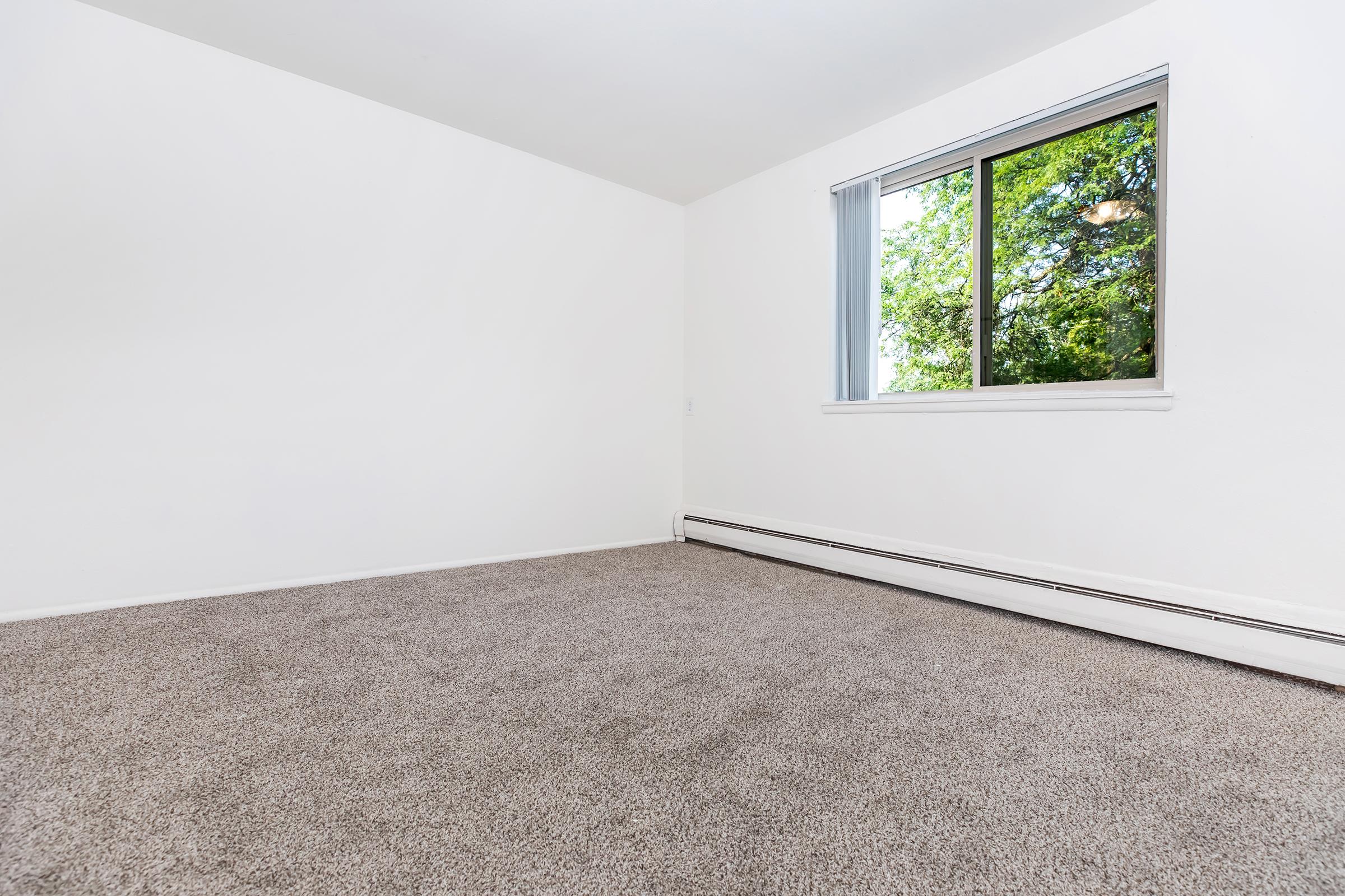 A spacious empty room with light beige carpet and white walls. There is a large window on one wall, allowing natural light to enter, and greenery visible outside the window. The overall atmosphere is bright and airy, making the space feel open and inviting.