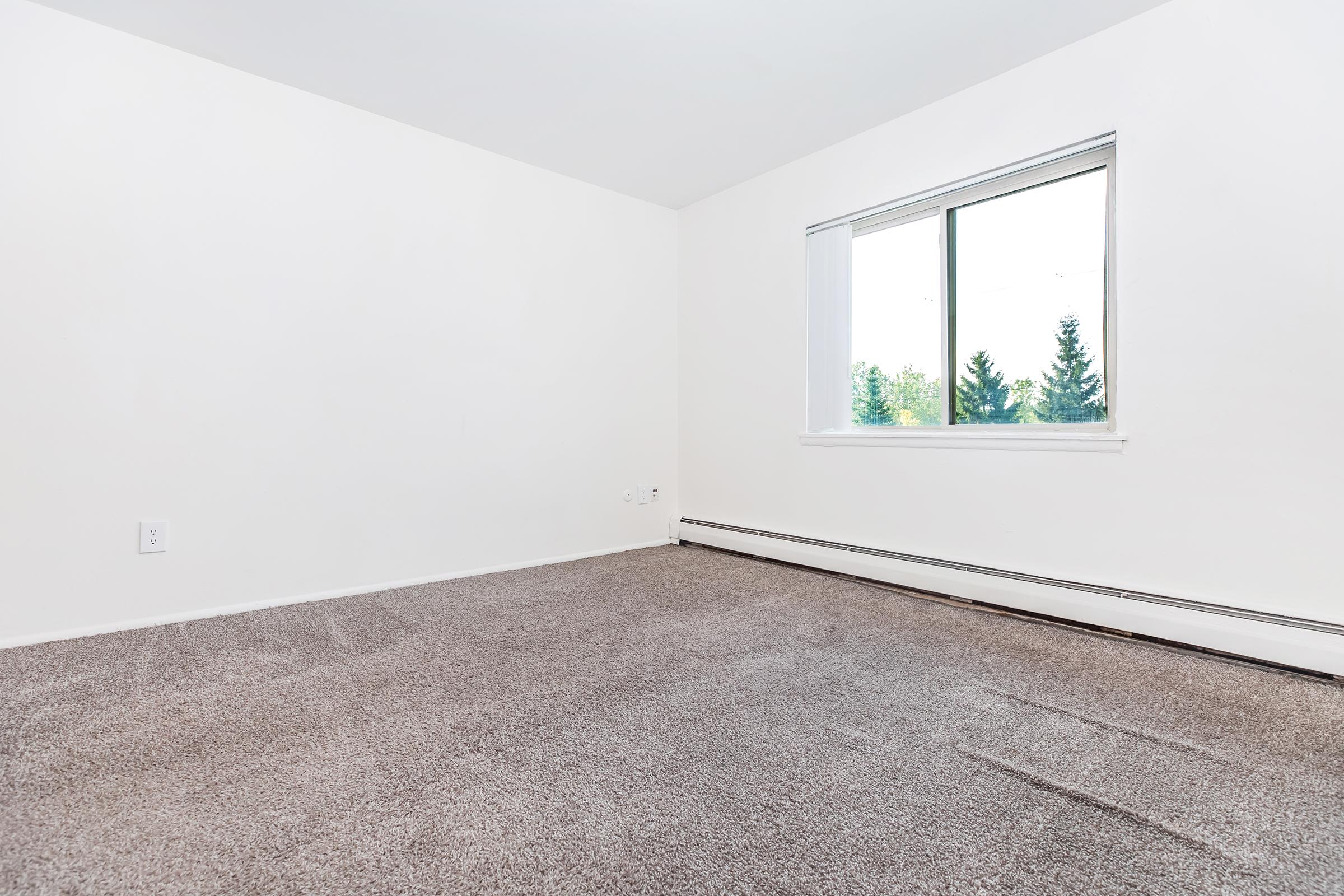 A clean, empty room with light-colored walls and a large window that lets in natural light. The floor is covered with soft, gray carpeting. The window offers a view of greenery outside, creating a bright and airy atmosphere. The space appears ready for furniture or decoration.