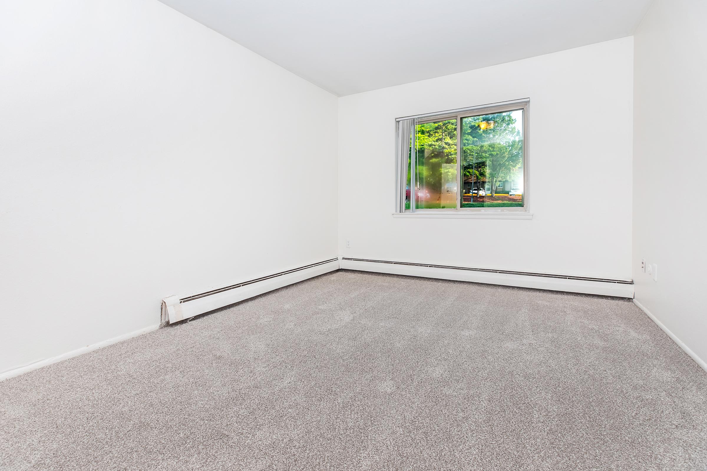 An empty room with light-colored walls and a large window allowing natural light. The floor is covered in soft beige carpet, and the window offers a view of greenery outside. The space is clean and uncluttered, providing a bright and airy atmosphere.
