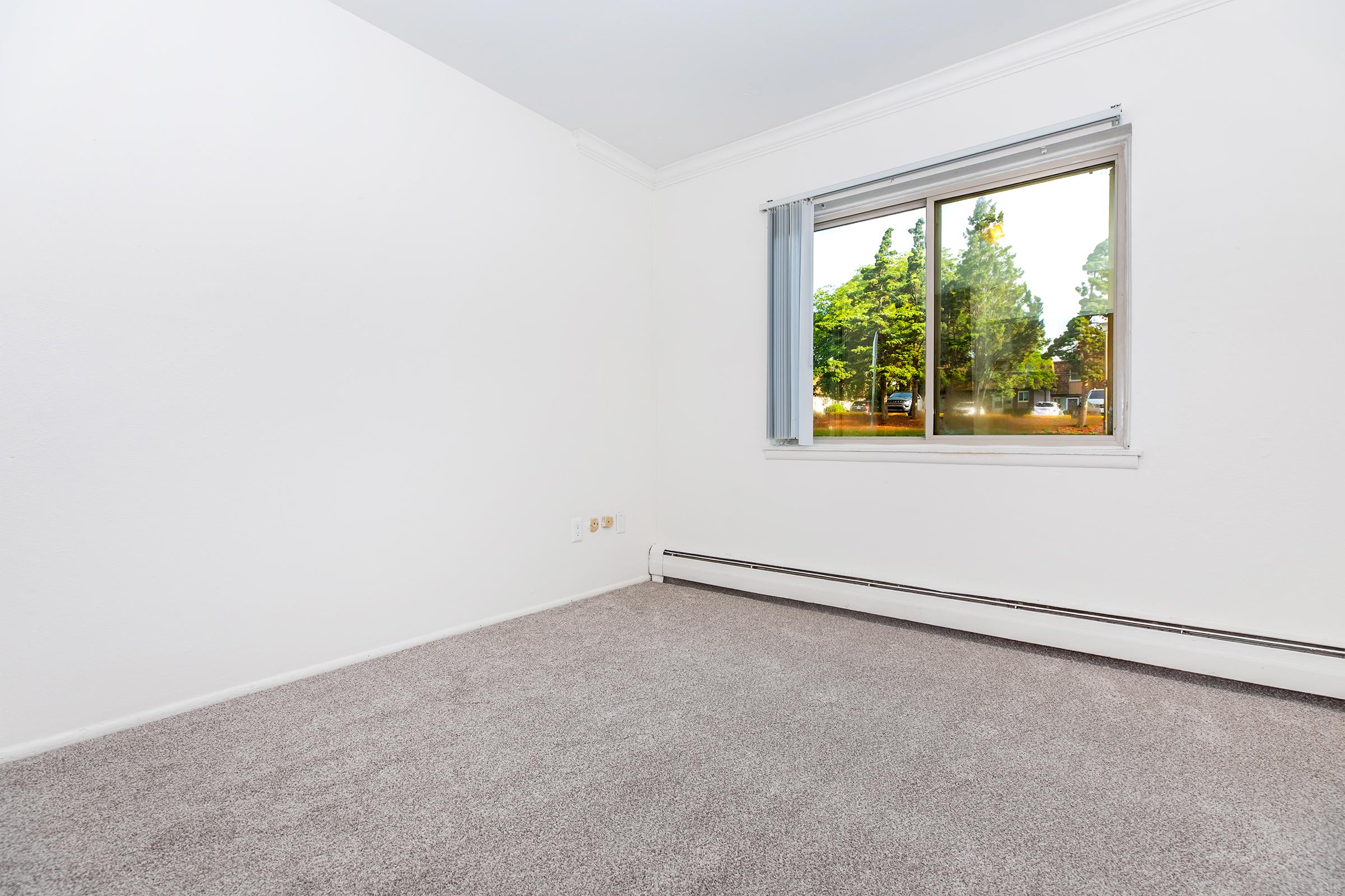 A minimalistic room with light gray carpet and plain white walls. A window on one side allows natural light to enter, showing trees outside. The space is empty and well-maintained, creating a blank canvas for decorating.