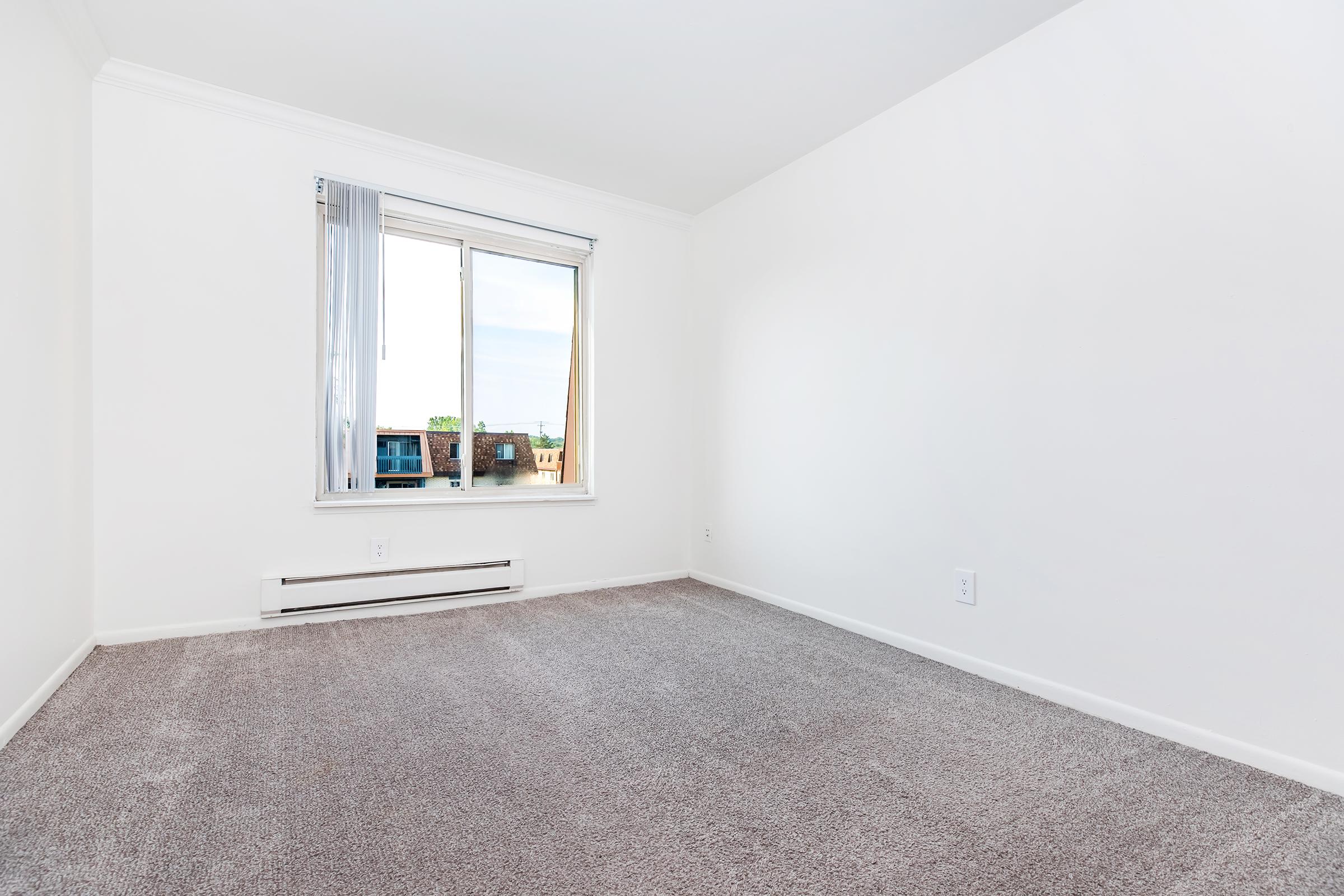 A spacious, empty room with light grey carpet and white walls. A large window with light curtains allows natural light to enter, showing a glimpse of the outside. The room is unfurnished and has a clean, minimalist appearance, suitable for various interior design options.