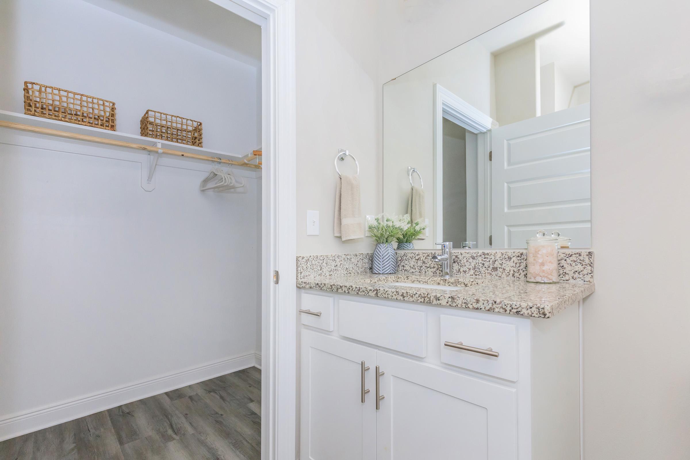 A bright and clean bathroom featuring a vanity with a granite countertop, a mirror above it, and decorative elements like a small plant. There’s a closet in the background with hanging racks and wicker storage baskets, along with light-colored walls and wood-looking flooring.