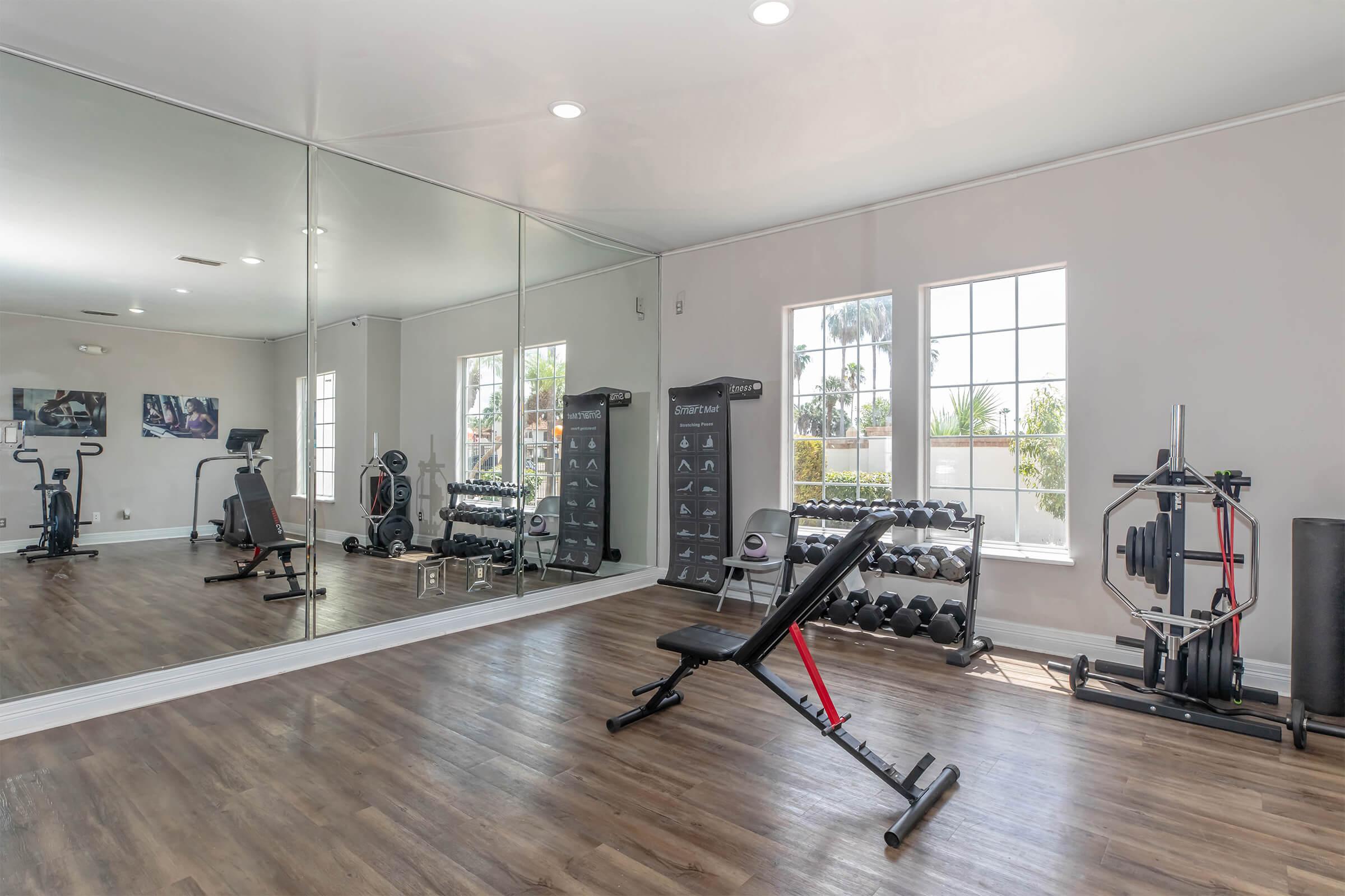 A modern home gym featuring a mirrored wall, a weight bench, dumbbells, a stationary bike, and various fitness equipment. Large windows allow natural light to fill the space, creating an inviting atmosphere for workouts. The flooring is wood, complementing the sleek design of the gym.