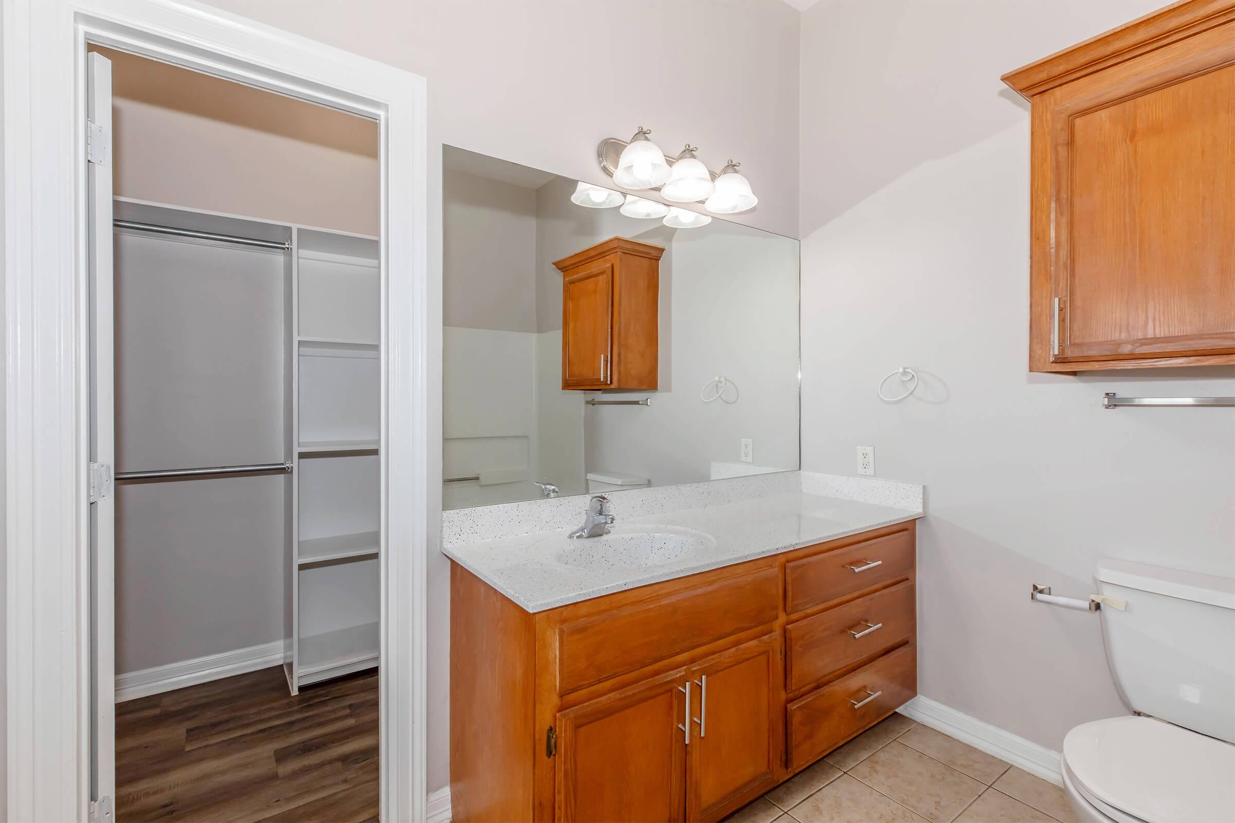 A modern bathroom featuring wooden cabinets, a large mirror, a sink, and a toilet. There is a walk-in closet with shelving visible through an open door. The walls are painted in a soft color, and the flooring appears to be tiled. Lighting fixtures are mounted above the mirror.