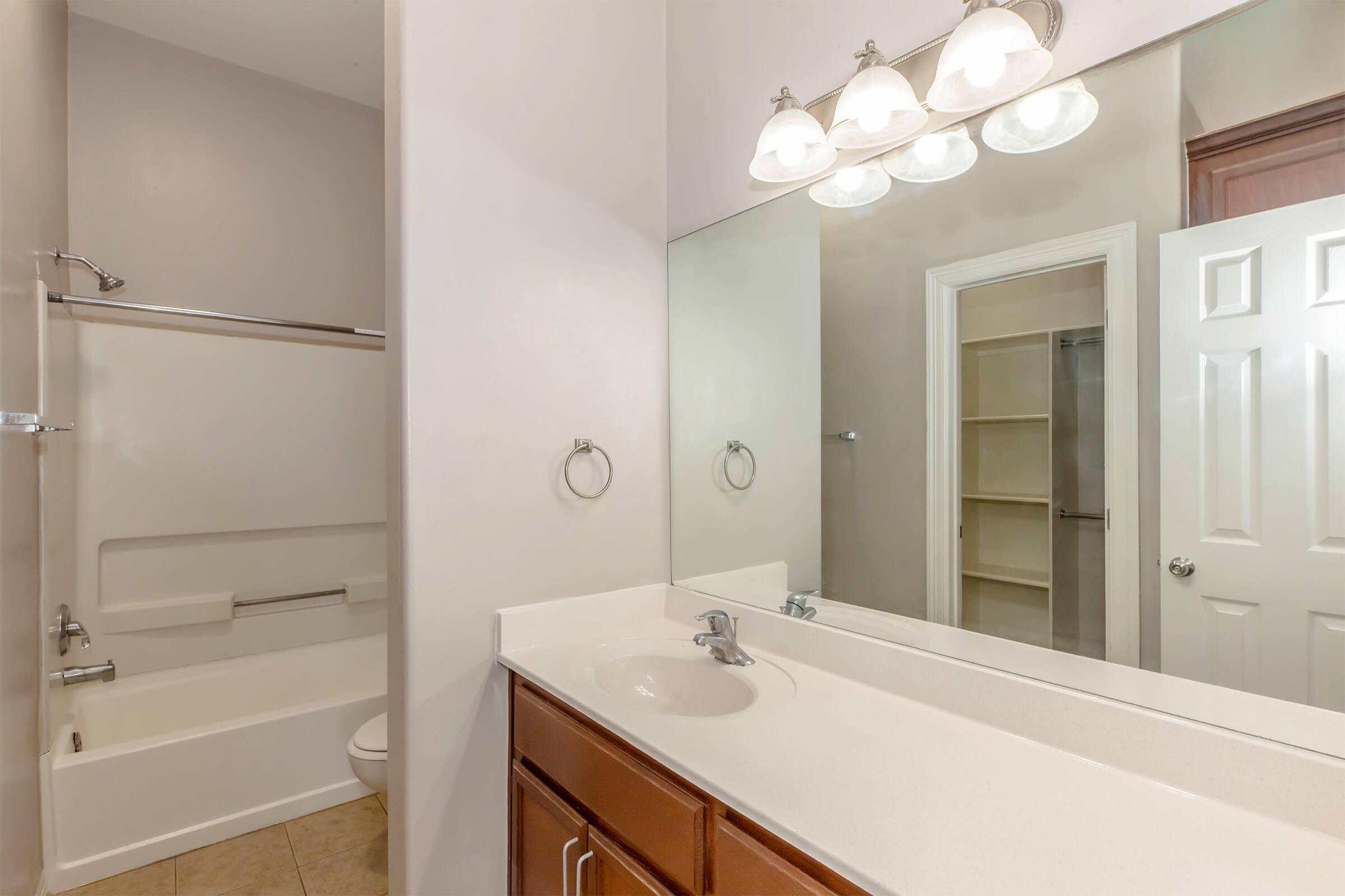 Bright and spacious bathroom featuring a bathtub with a shower, a large mirror above a countertop, and wooden cabinetry. The room has neutral-colored walls and a well-lit ambiance from three light fixtures above the mirror. A door leads to an adjacent closet space.