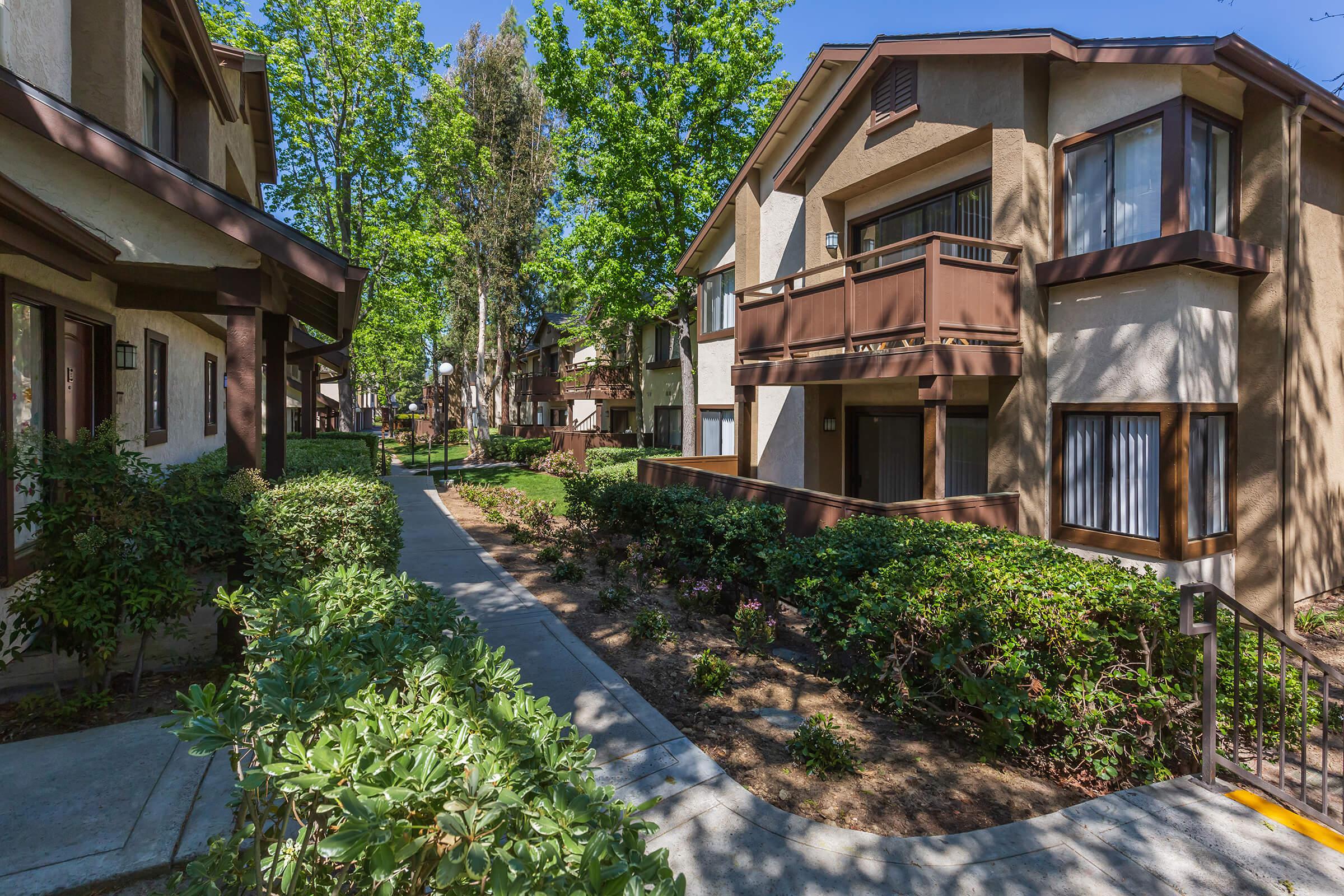 Walkway between community buildings with green shrubs