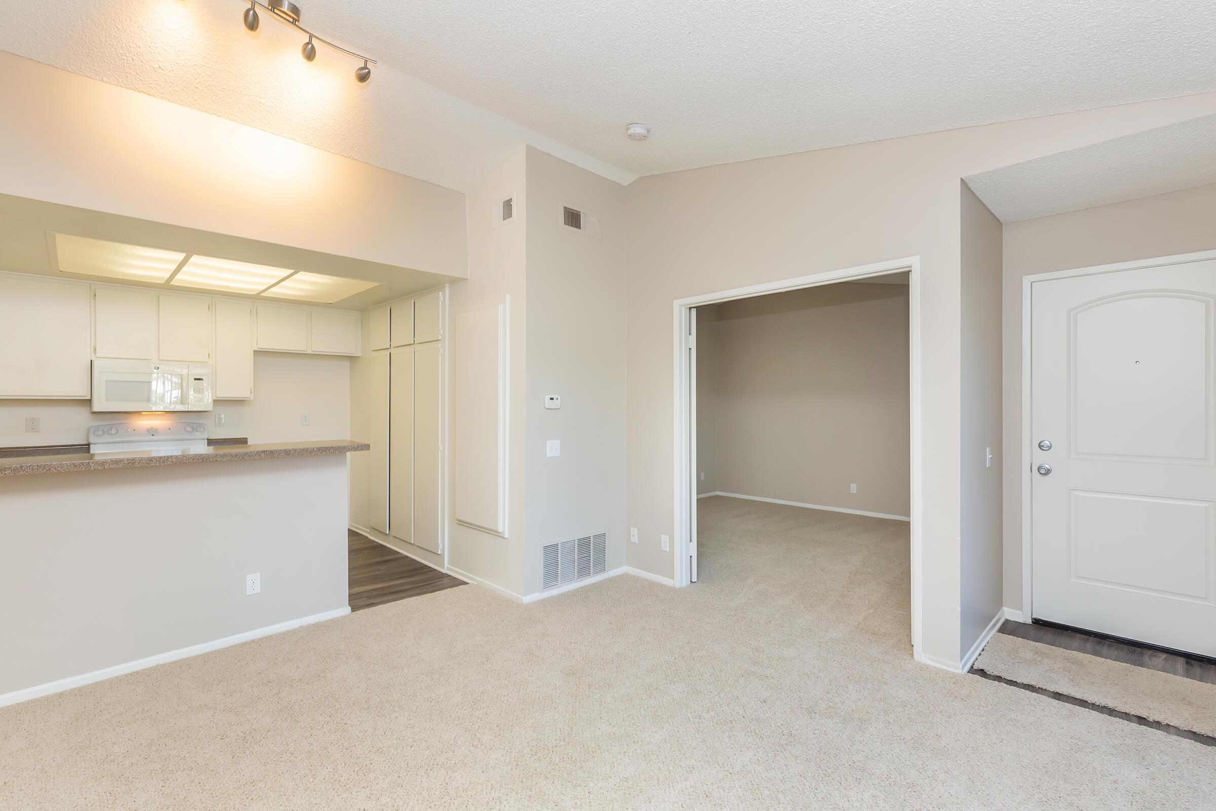 Living room and bedroom with carpet