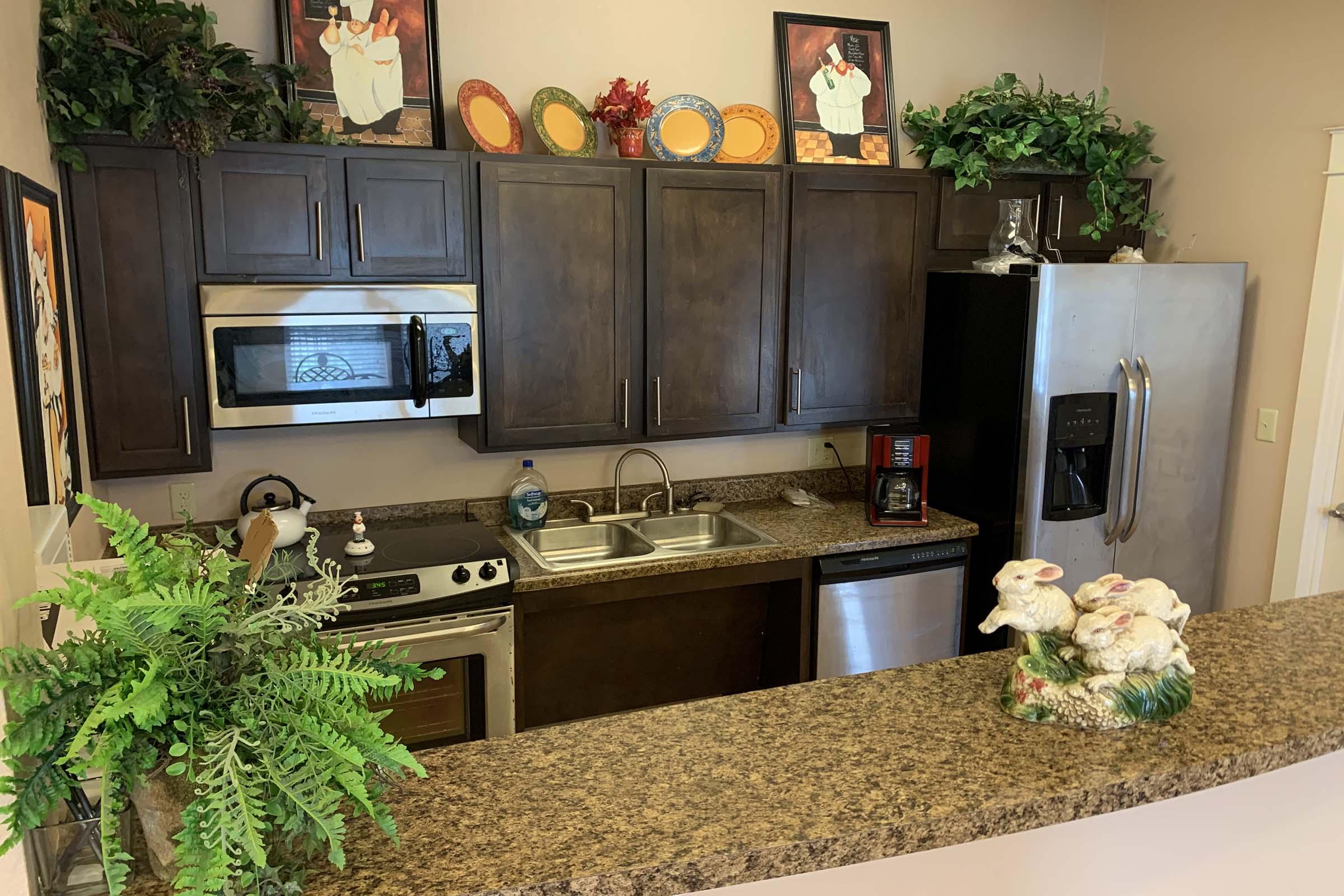 a vase of flowers on a kitchen counter