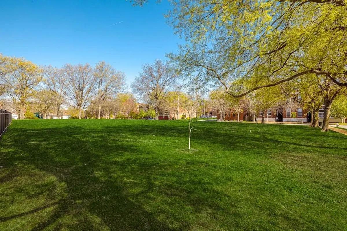 A spacious green lawn with a few small trees, surrounded by bare trees and residential buildings in the background. The sky is clear and blue, suggesting a sunny day. The scene captures a peaceful outdoor environment perfect for relaxation or recreational activities.