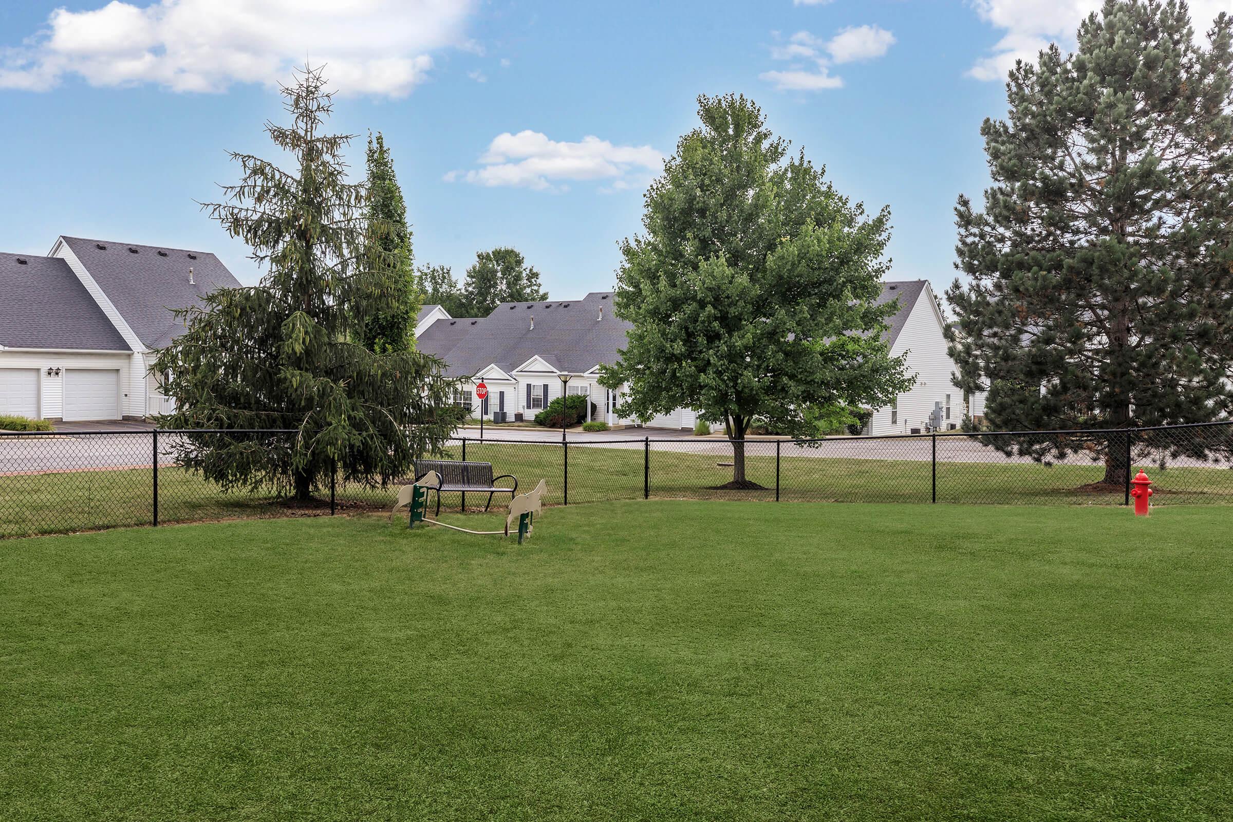 a large green field with trees in the back yard