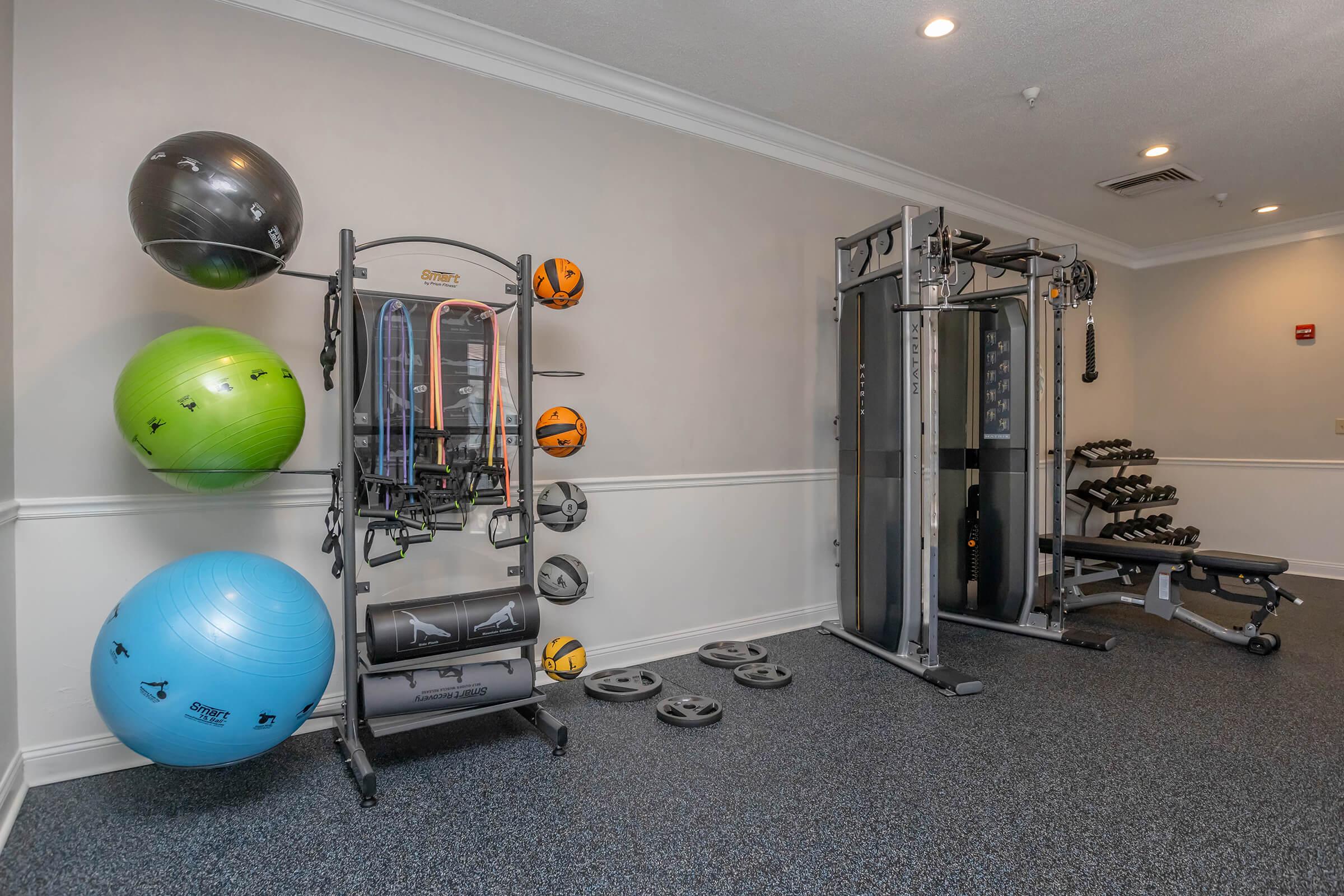 A well-equipped gym featuring various workout equipment. Visible are exercise balls in green, blue, and orange, a multi-functional strength training machine, a set of dumbbells, and weight plates neatly arranged on the floor. The space has a clean and modern appearance with carpeted flooring.