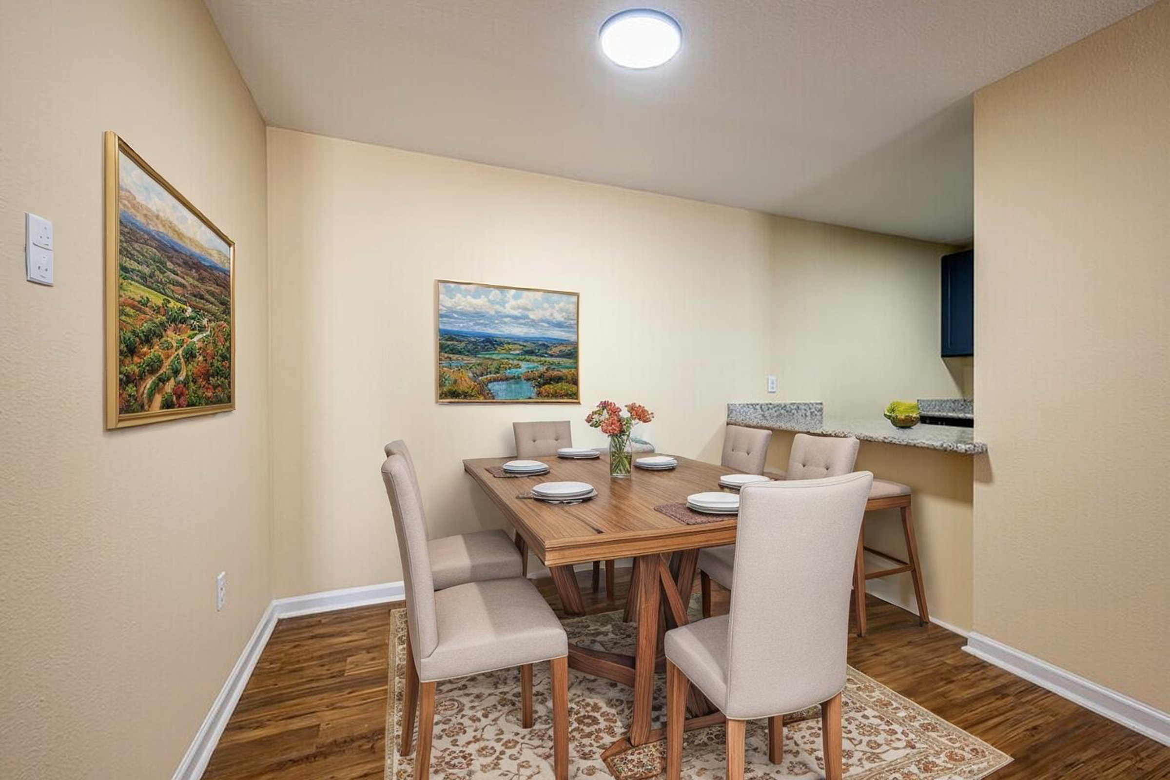 Apartment Features