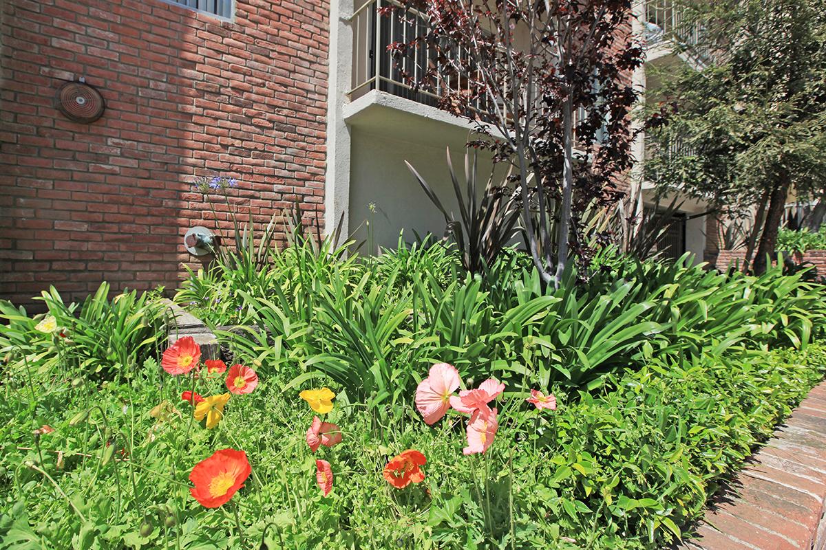 a close up of a flower garden in front of a brick building