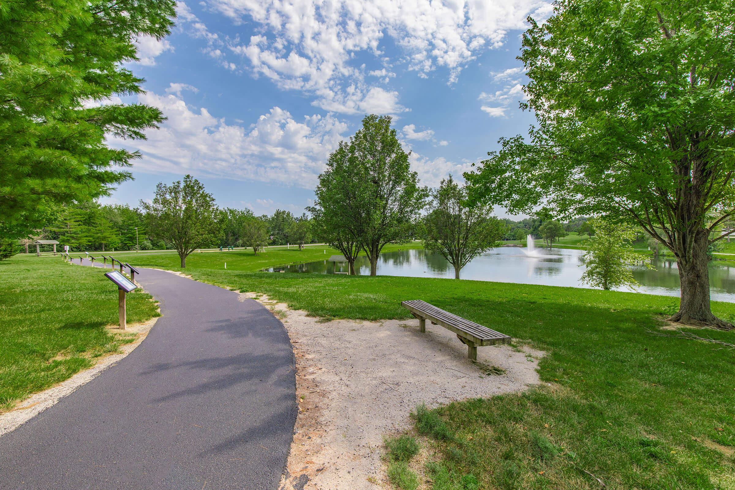 a path with trees on the side of a road