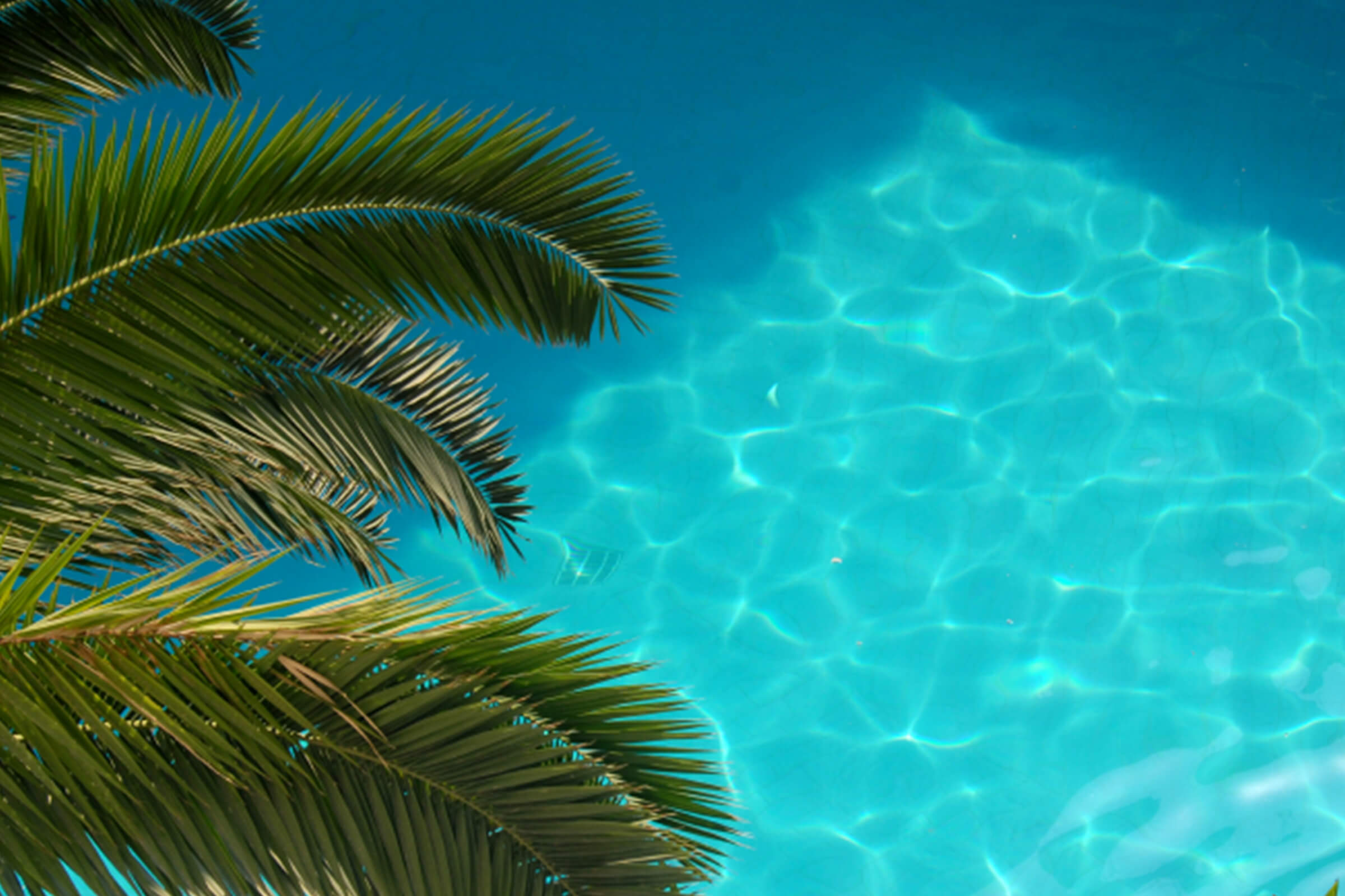 Ashley Woods Apartment Homes Floor Plans & Pricing