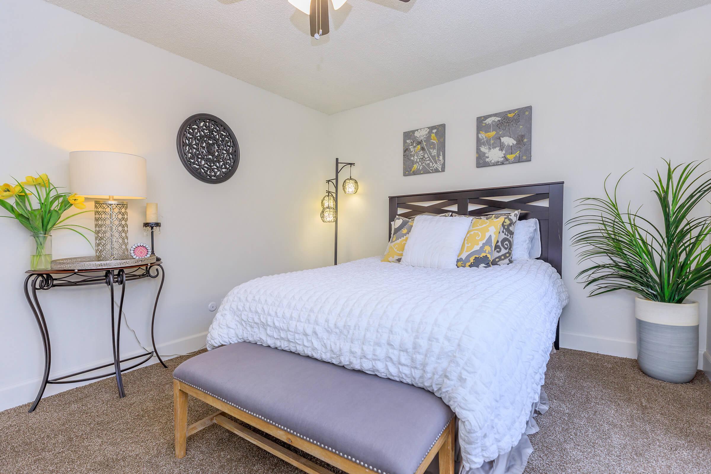 Apartment Features